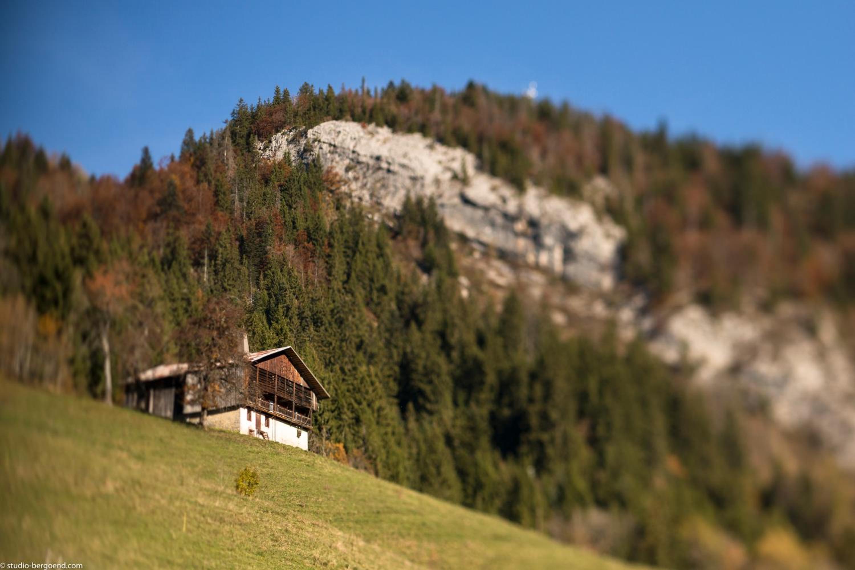 La Ferme de Juliette