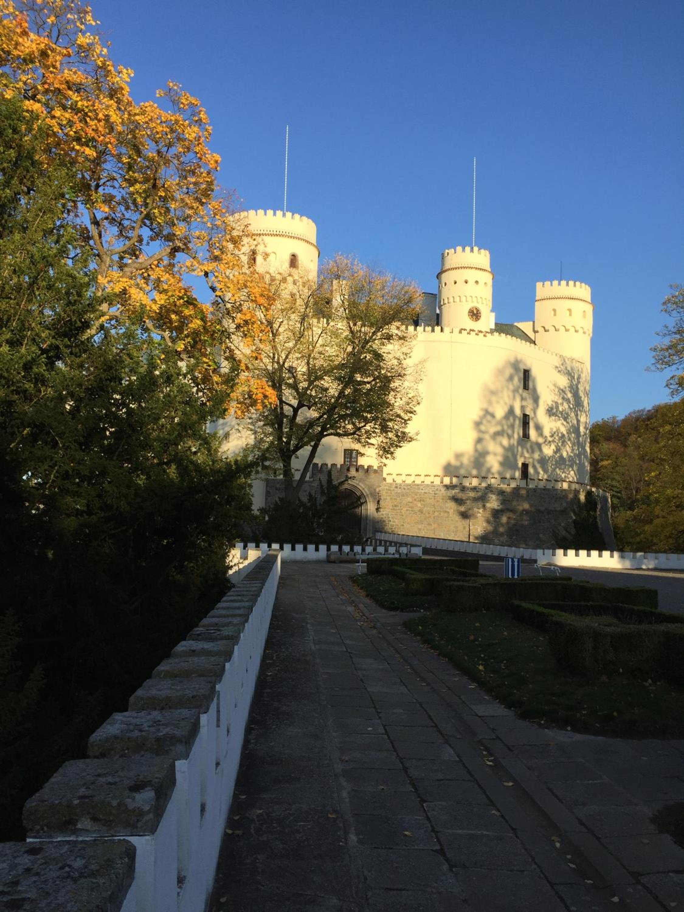 Photo 20