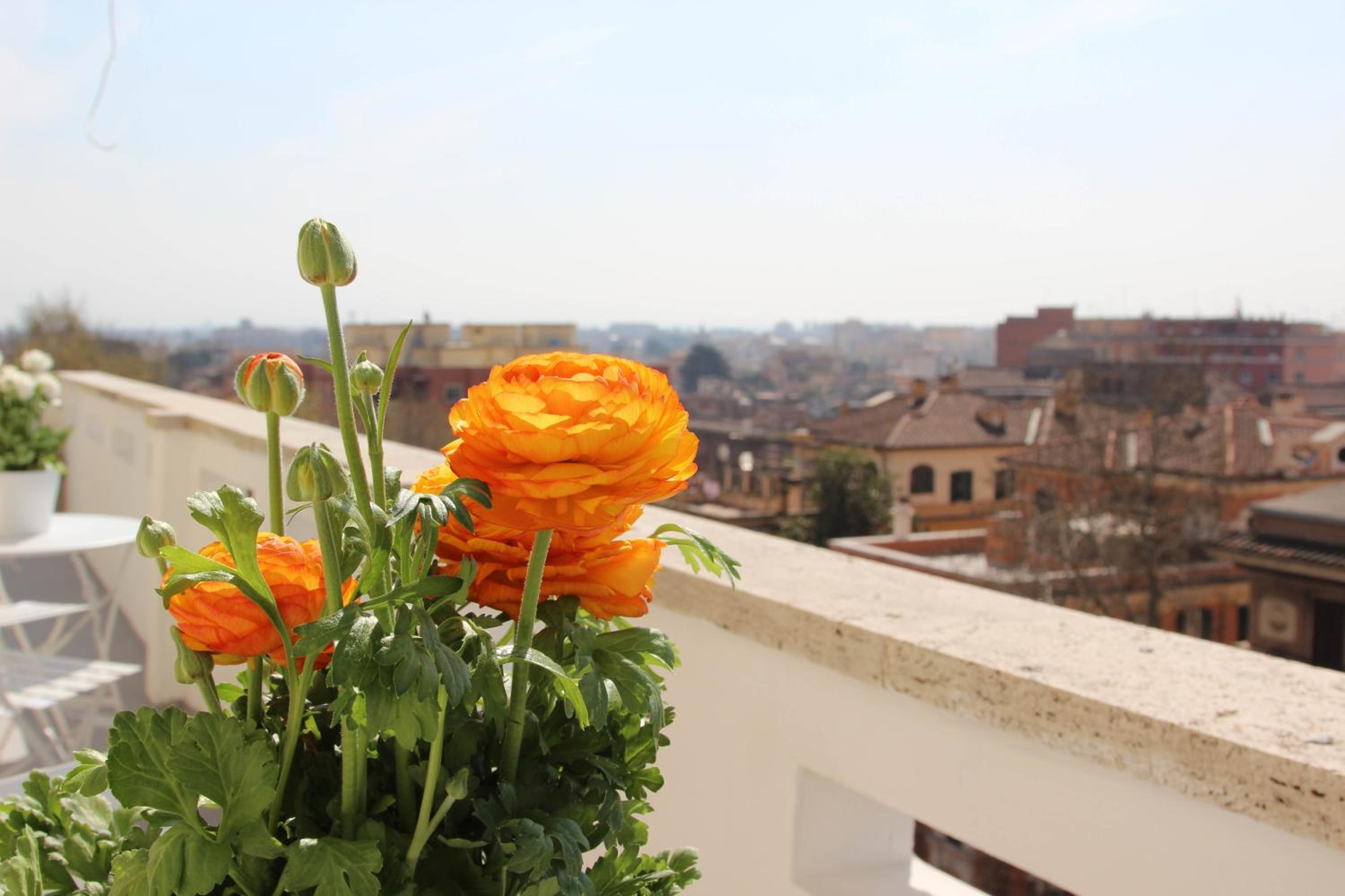 Windows on Rome en Rome — balance & terrace