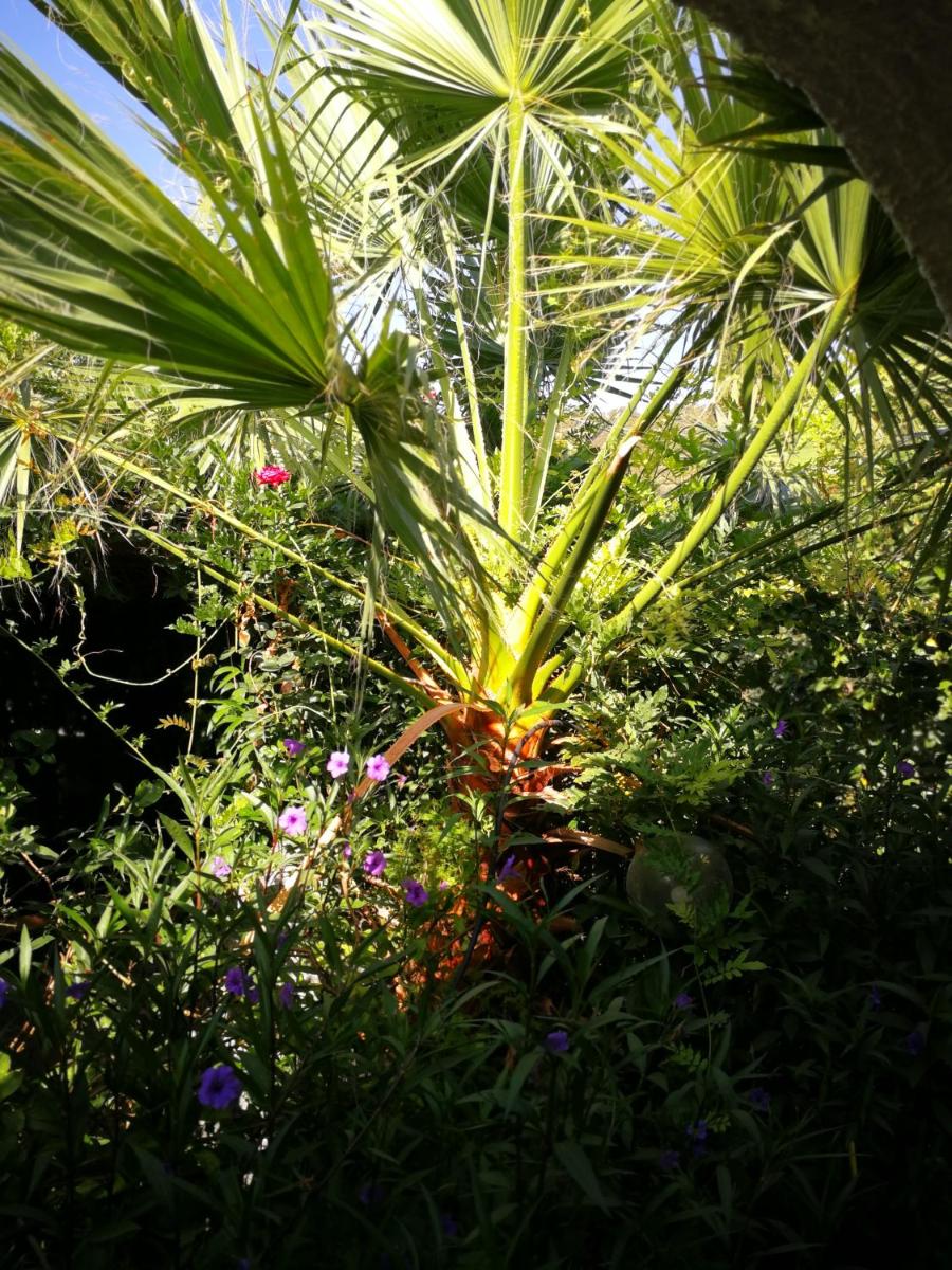 Villa Murgia view 4