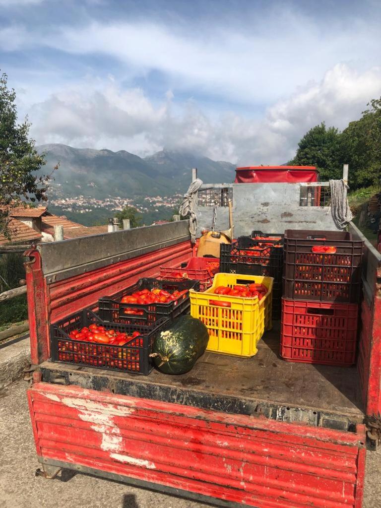 Agriturismo La Baita