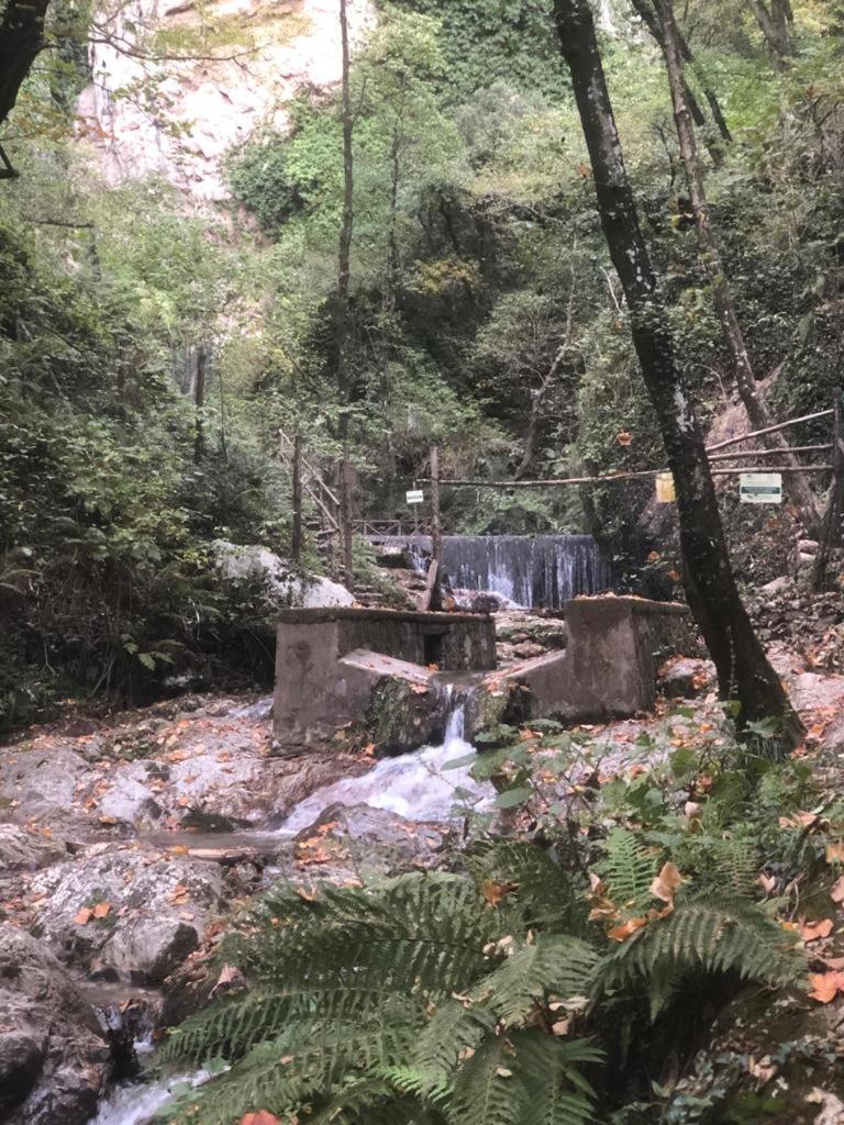 Agriturismo La Baita