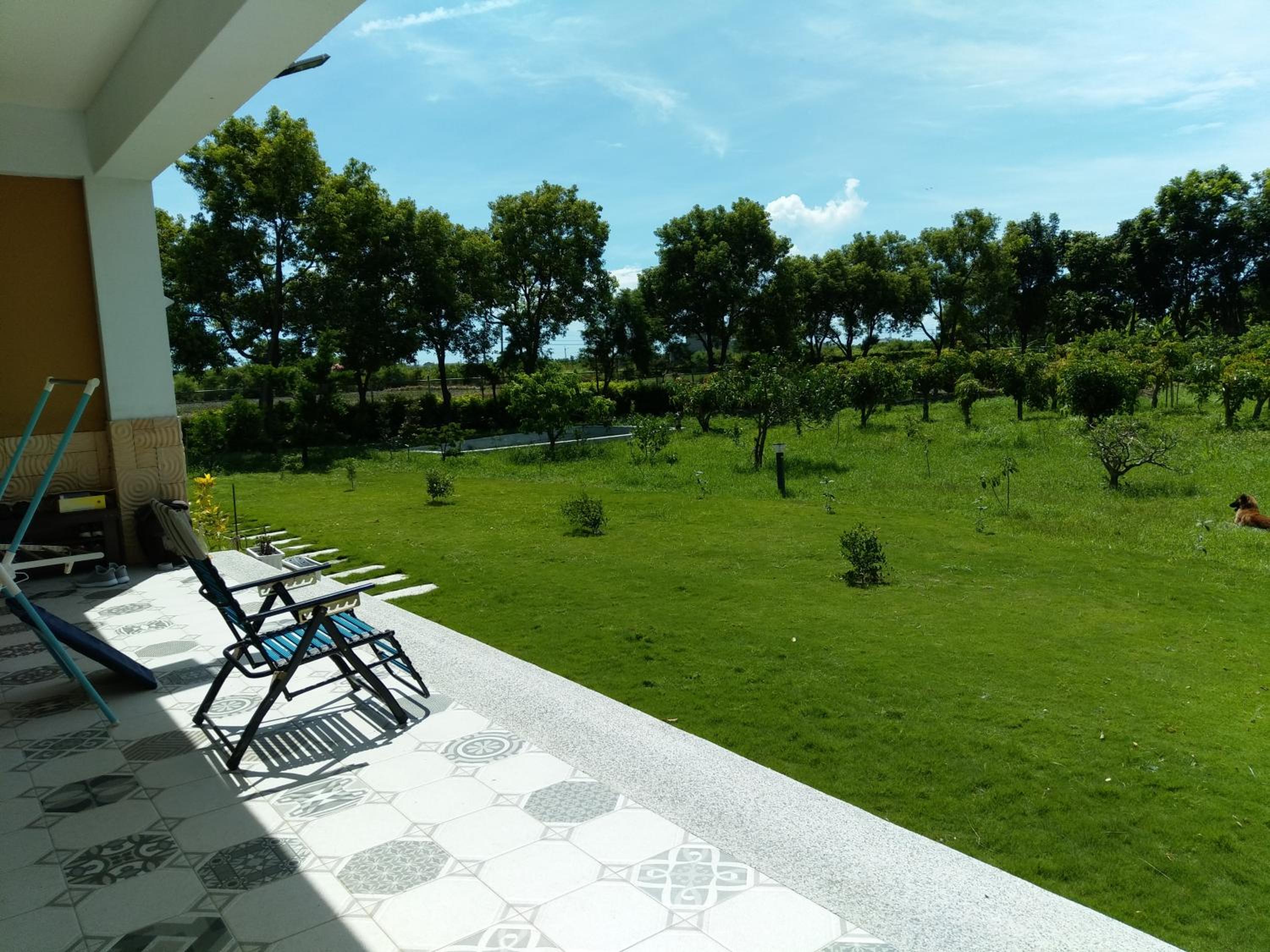 晴川樹 view 5