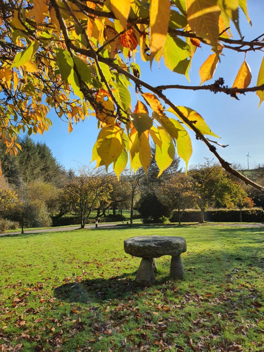 children's play area