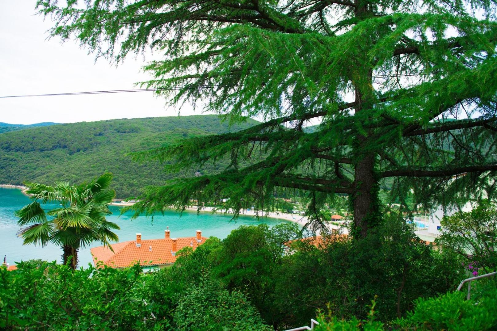 Apartments Ljerka en Rabac