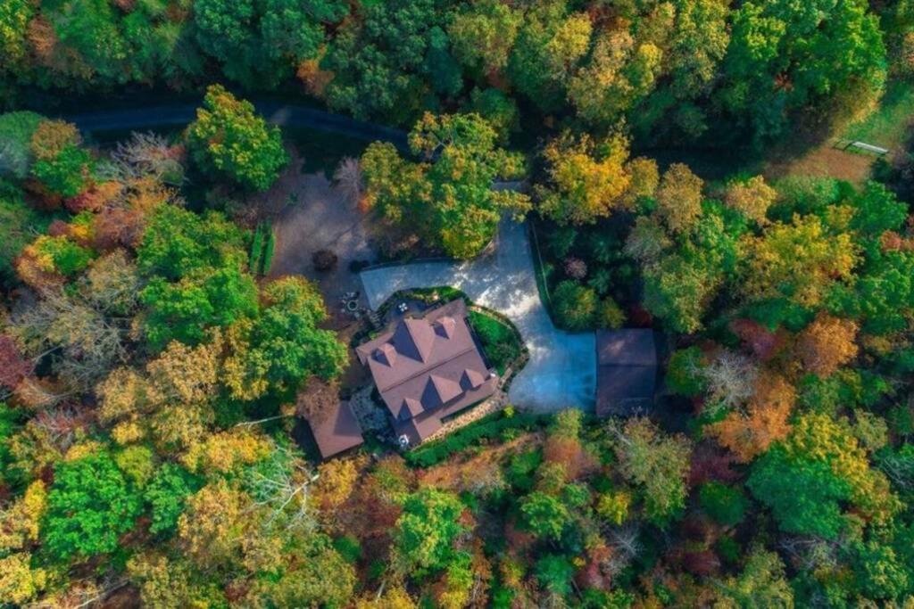 Secluded Cabin near Downtown Blue Ridge view 4
