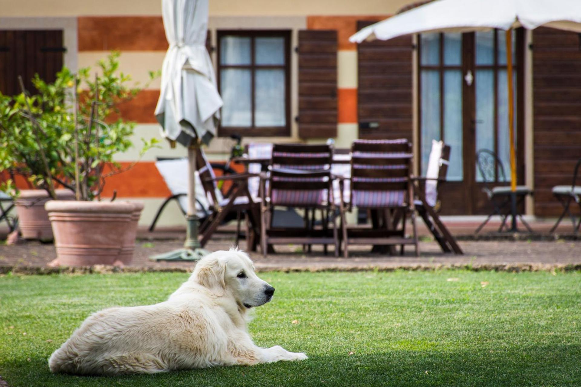 Musella Winery & Relais