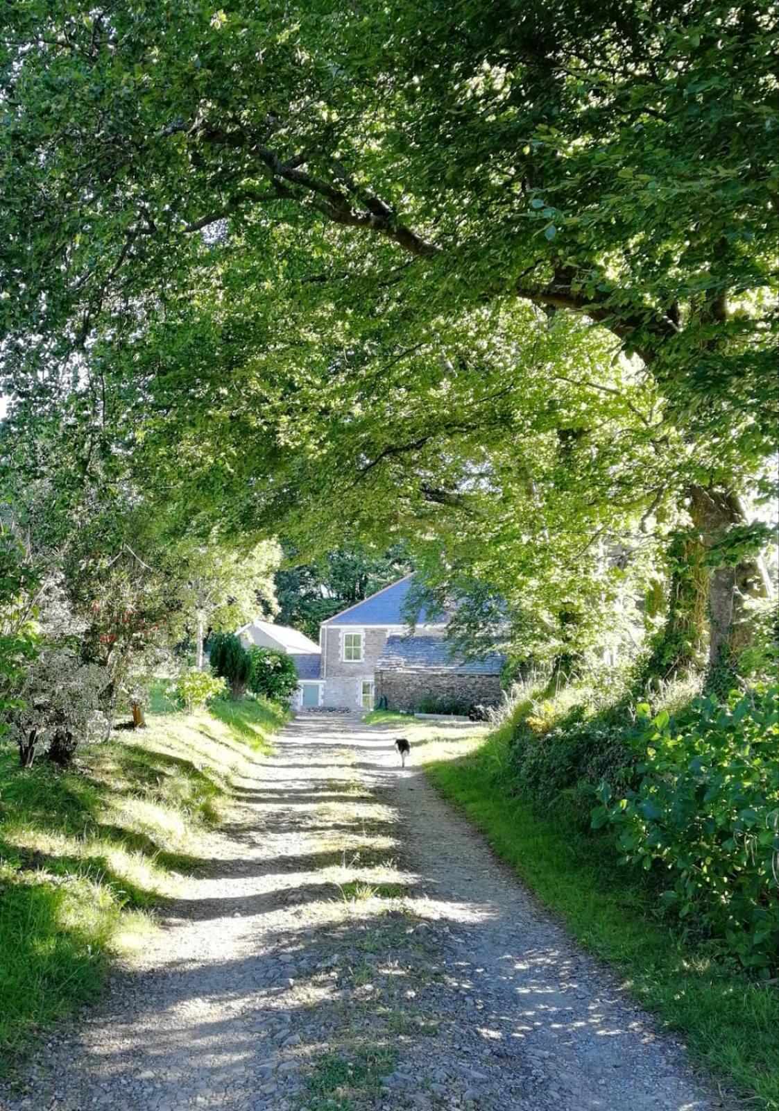 Cornwall, Looe - Magical Pendriffey view 2