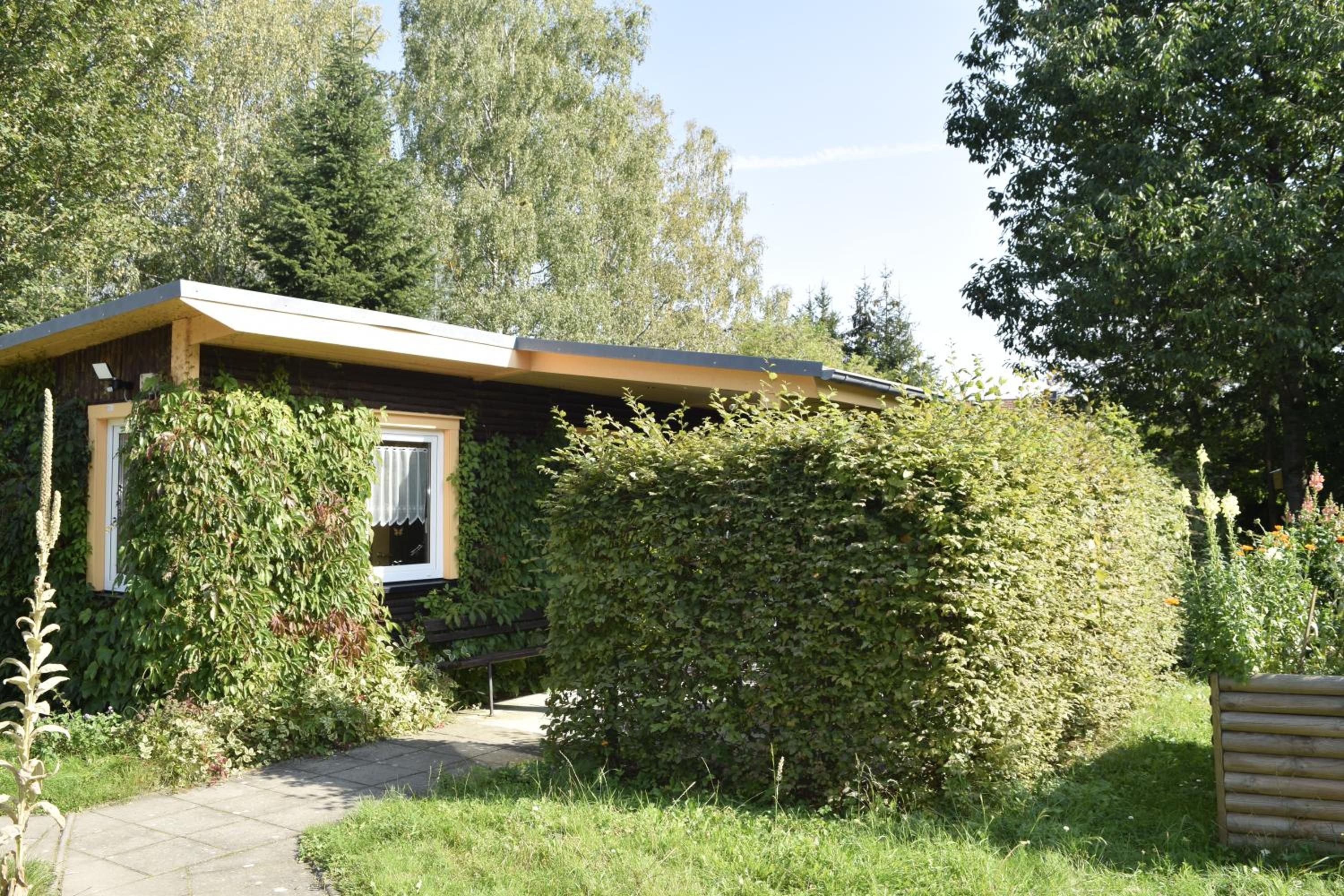 Photo 12