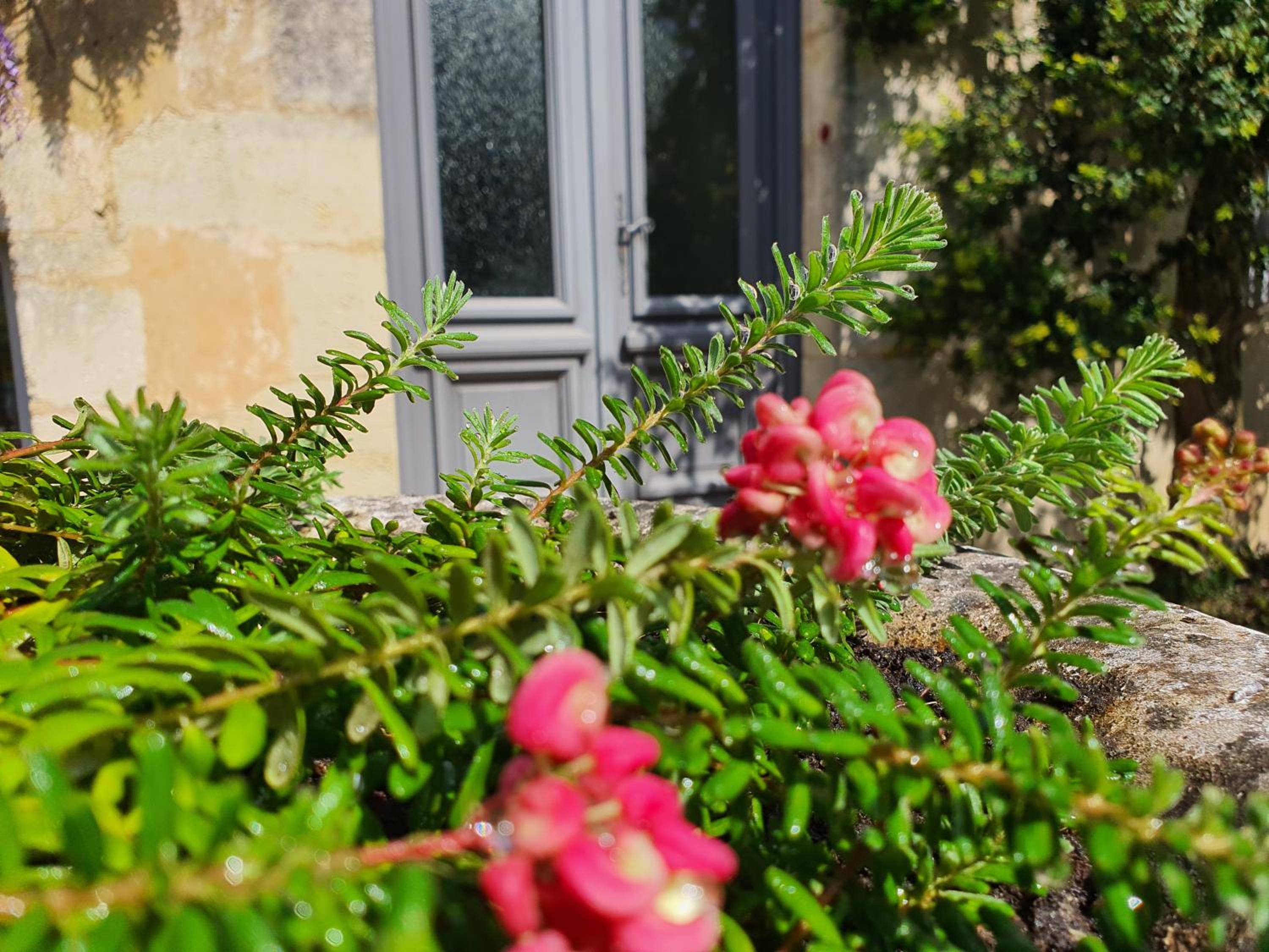Le Clos Réaud, photo 47