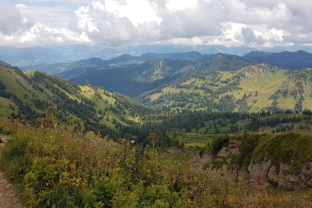 FeWo Allgäuliebe mit WLAN Oberstaufen Steibis