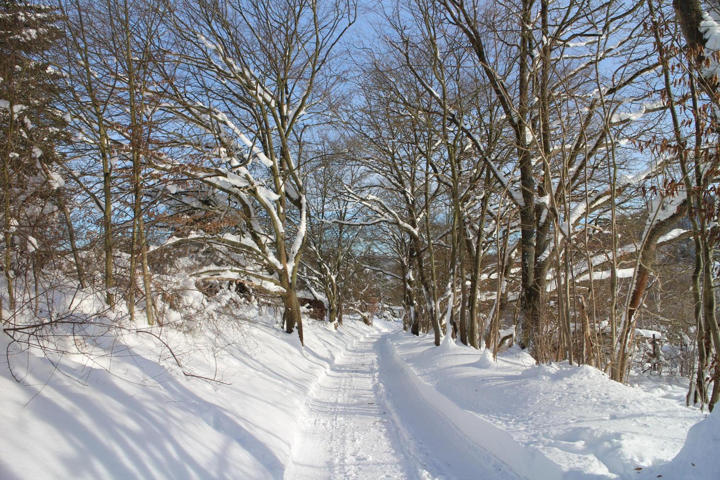 Photo 40