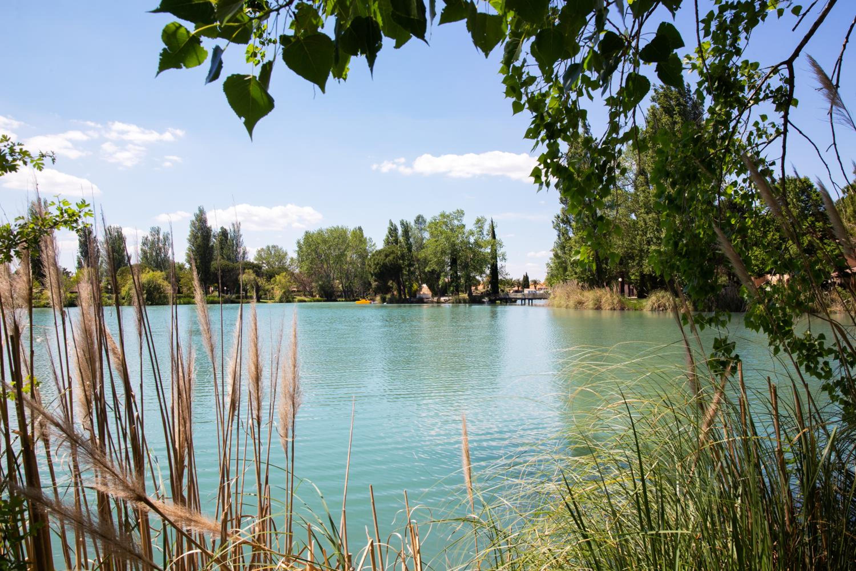 Arles Vacations - SOWELL HOTELS L'Olivier - Property Image 19