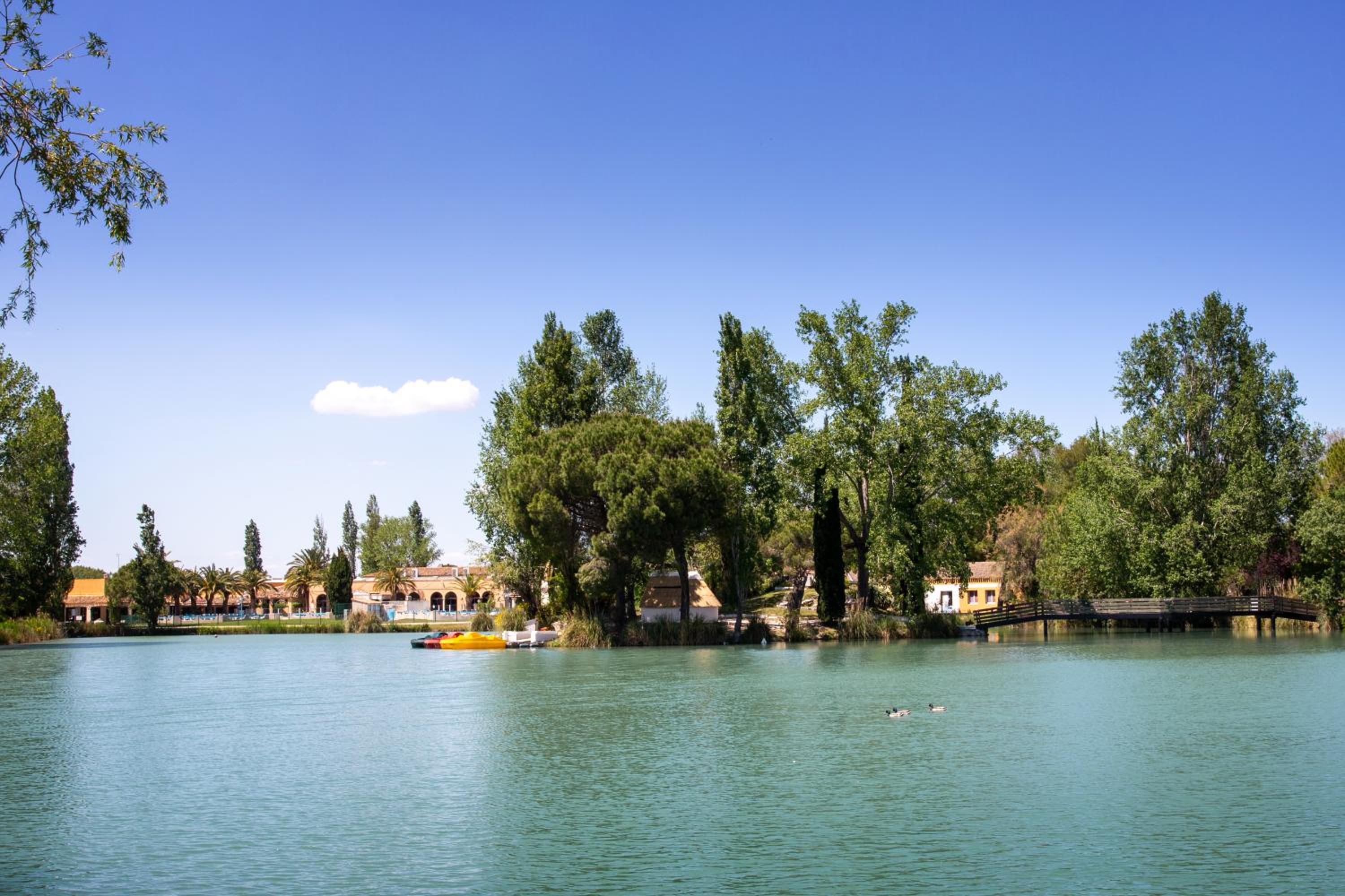 Arles Vacations - SOWELL HOTELS L'Olivier - Property Image 28