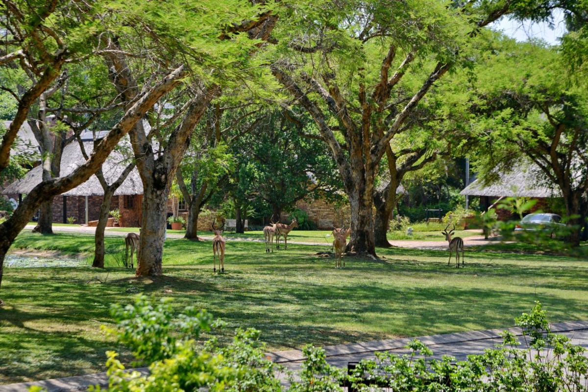 Hazyview Vacations - Cambalala - Private Villa - in Kruger Park Lodge - Serviced Daily, Free Wi-Fi - Property Image 35