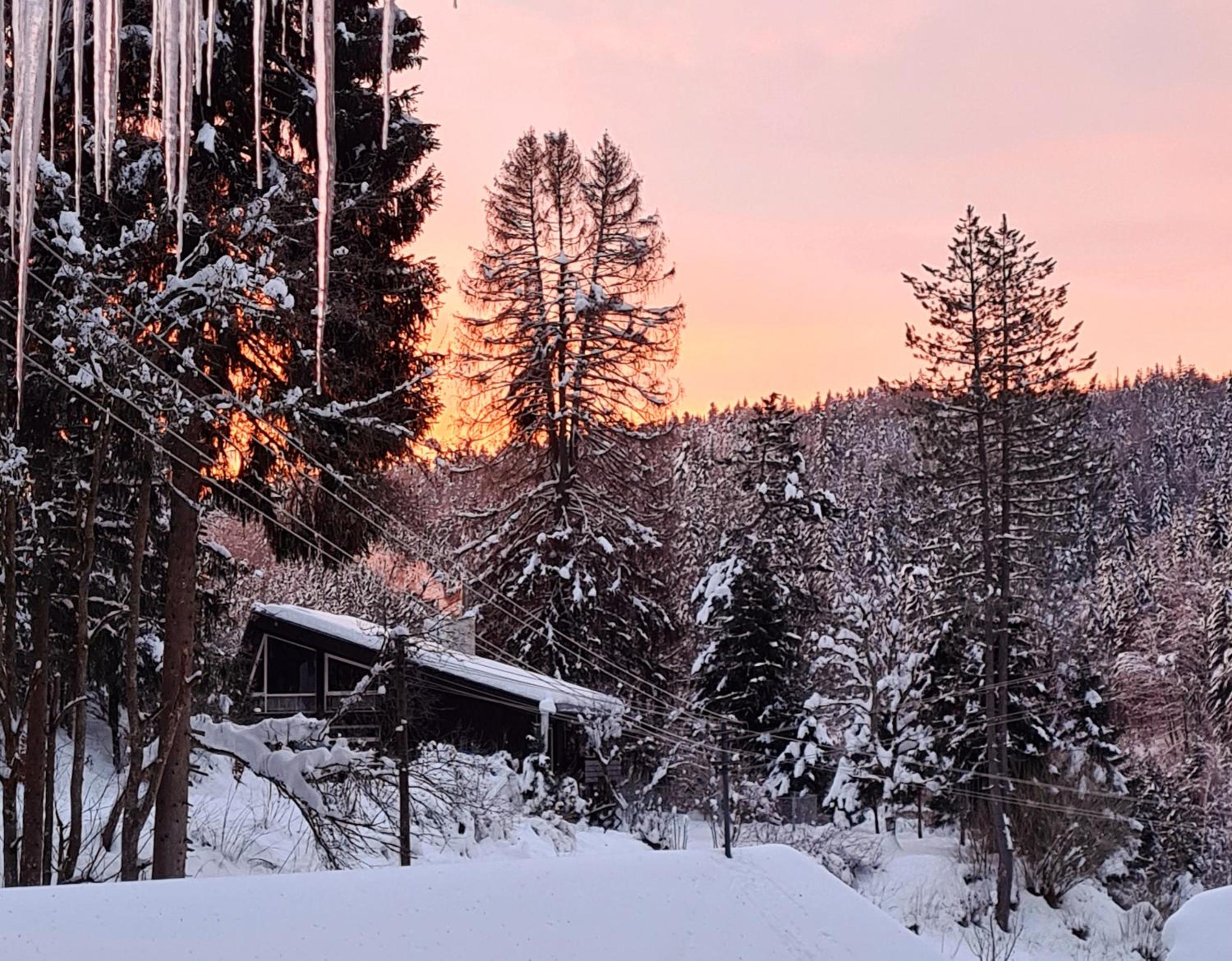 Waldblick Ferienwohnungen