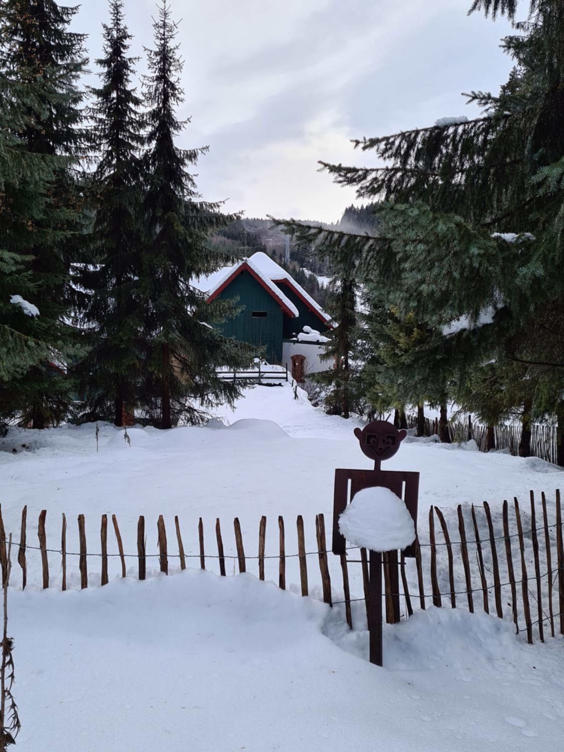 Waldblick Ferienwohnungen