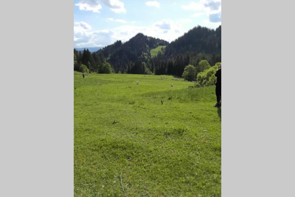 Photo 38