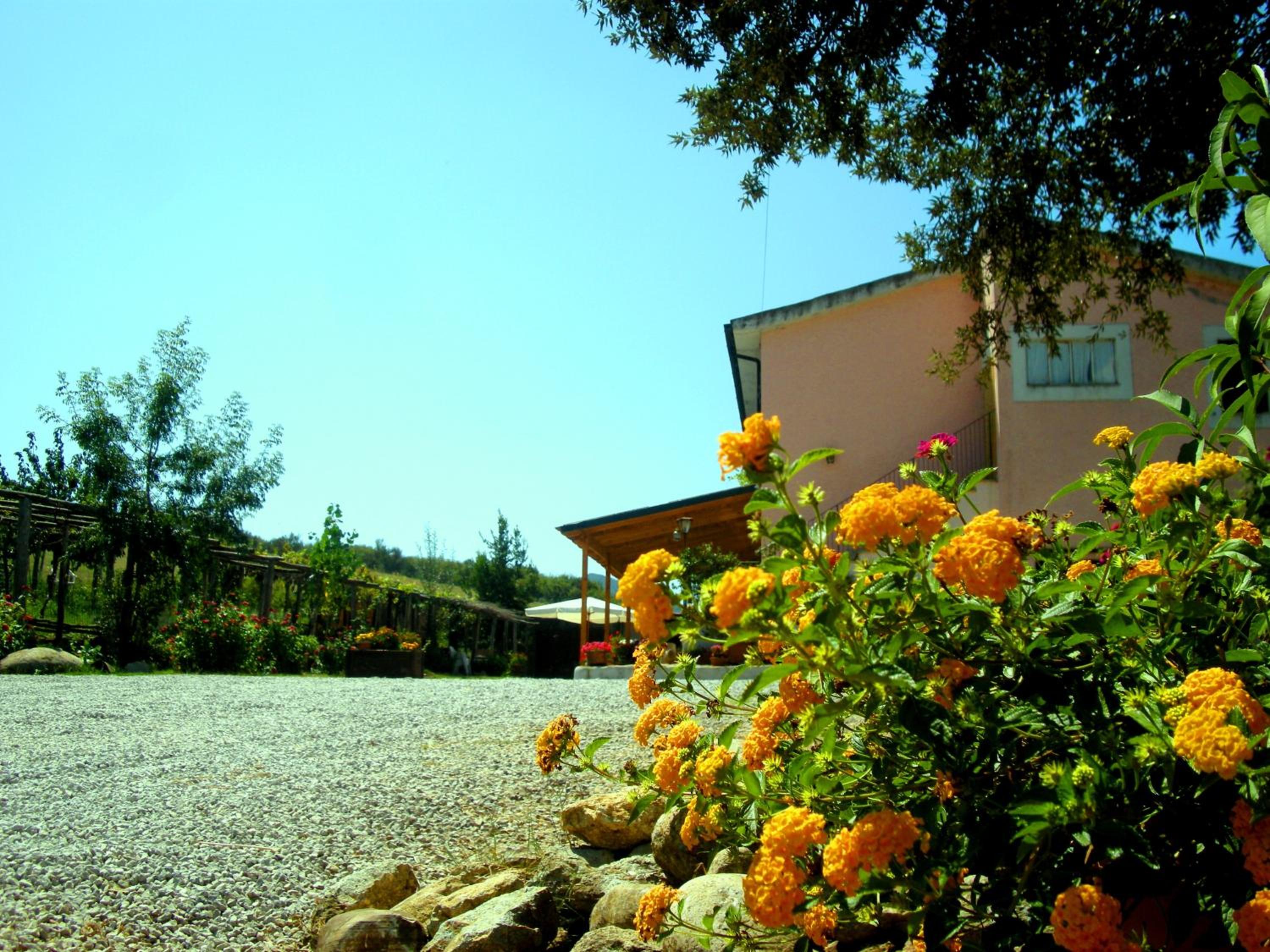 Photo 41