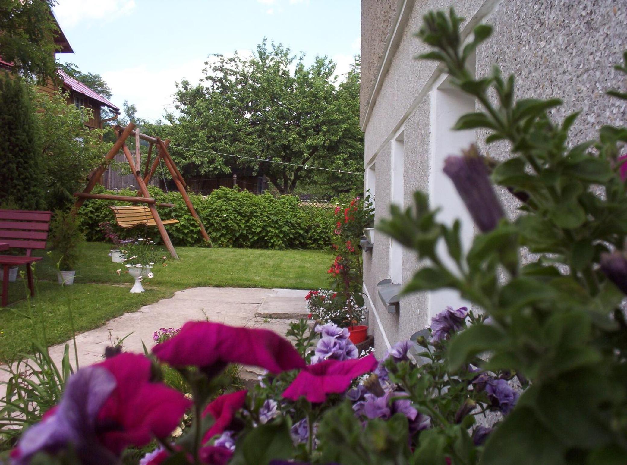 Photo 16