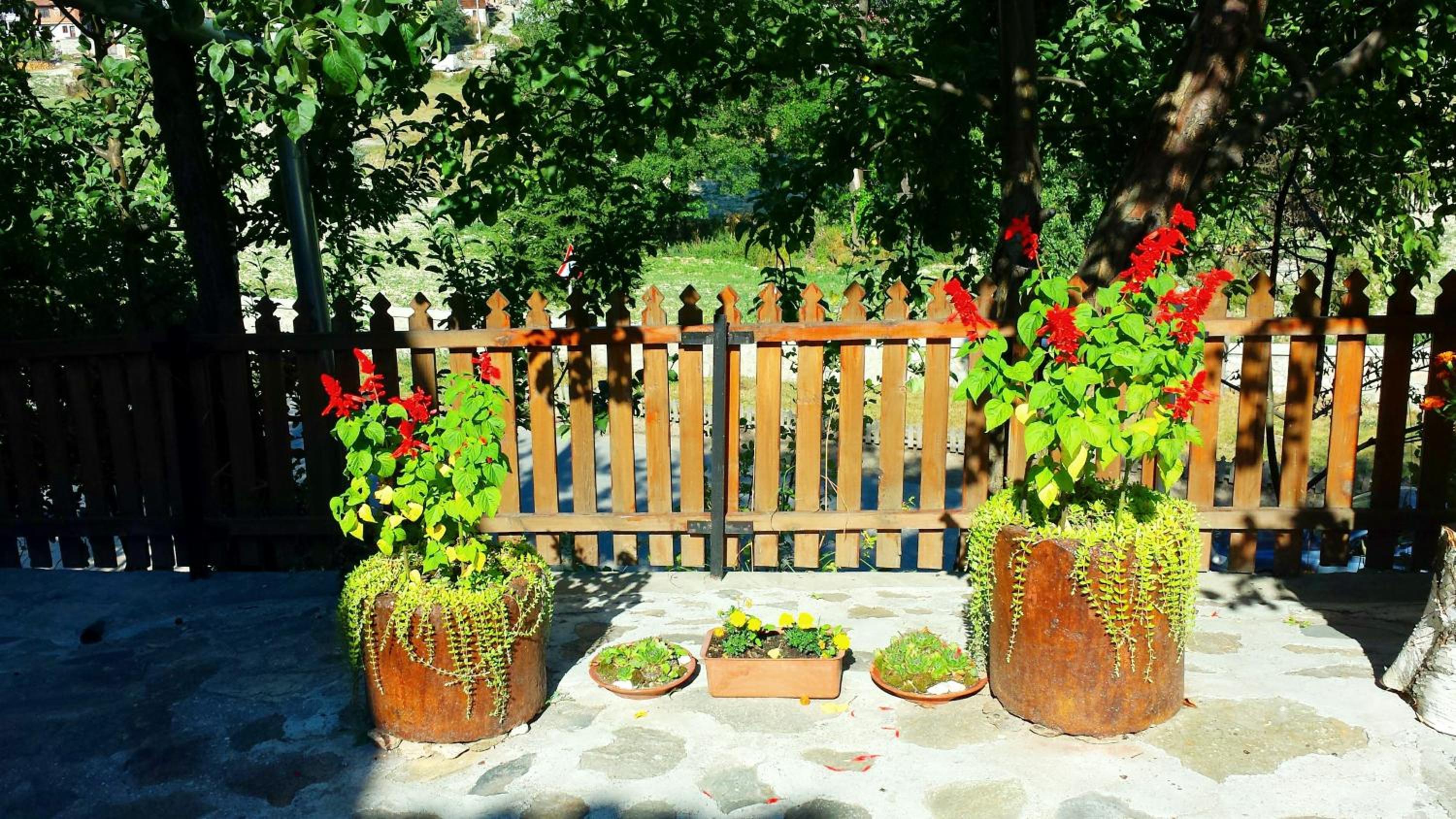 Mechta Guest House