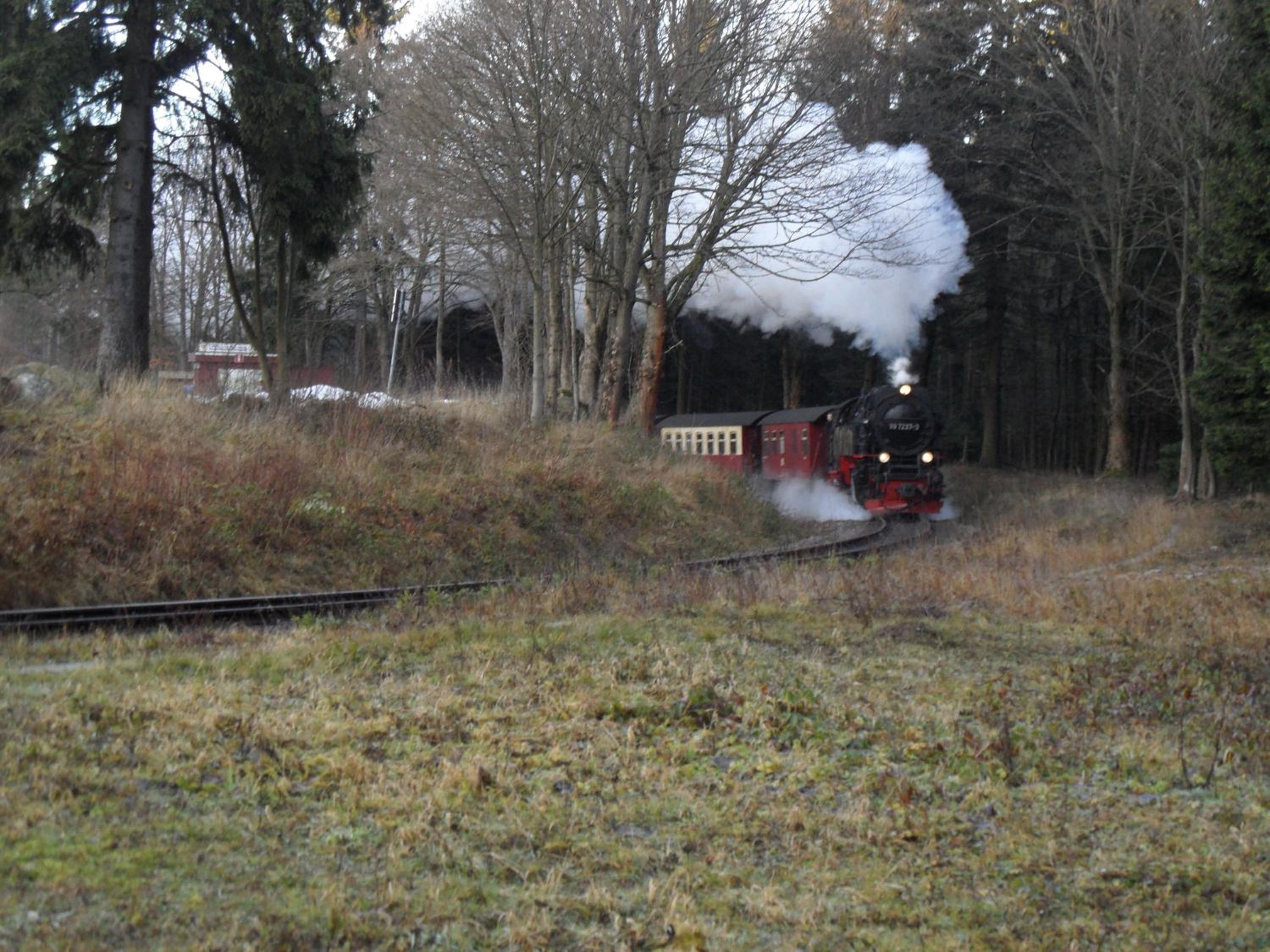Ferienanlage Zum Wildbach Schierke
