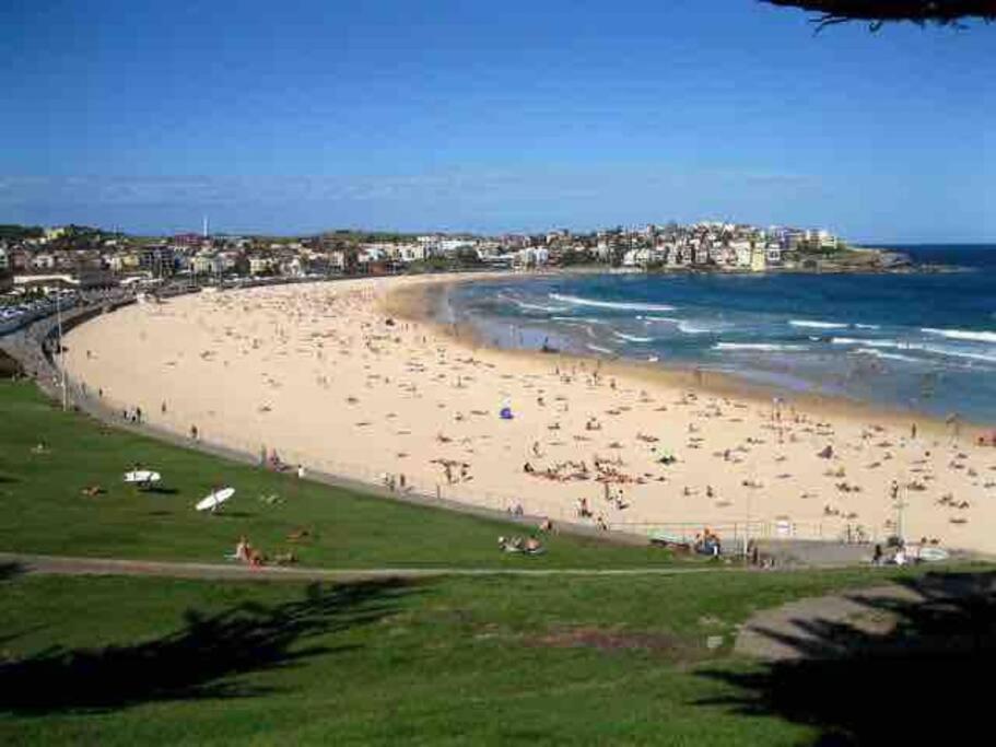 Stylish Bondi Beachside Abode