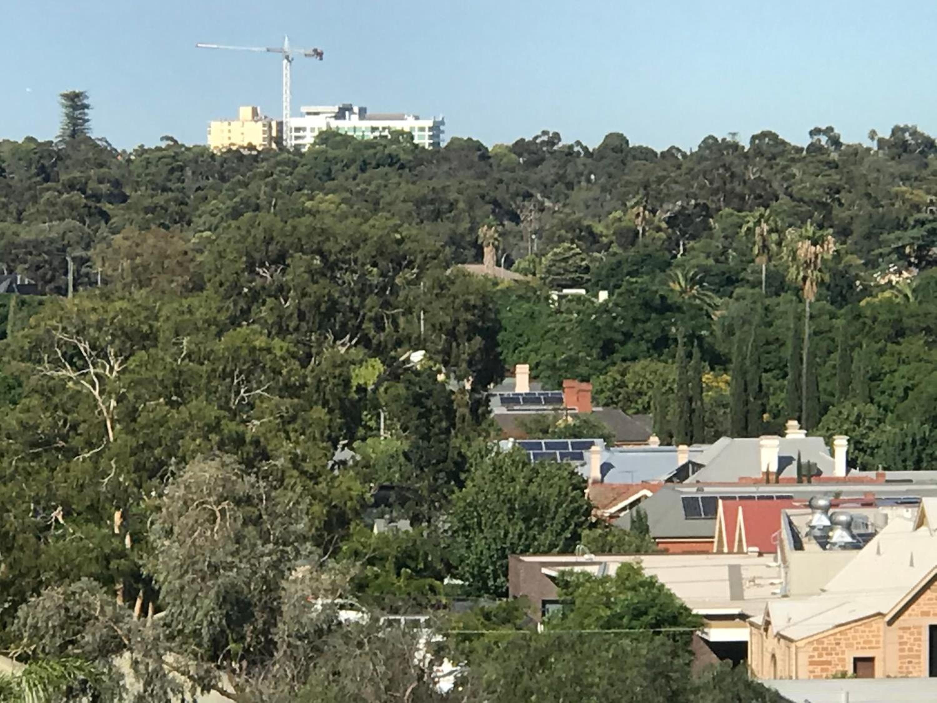 Tasha's Apartments on Warwick, photo 257