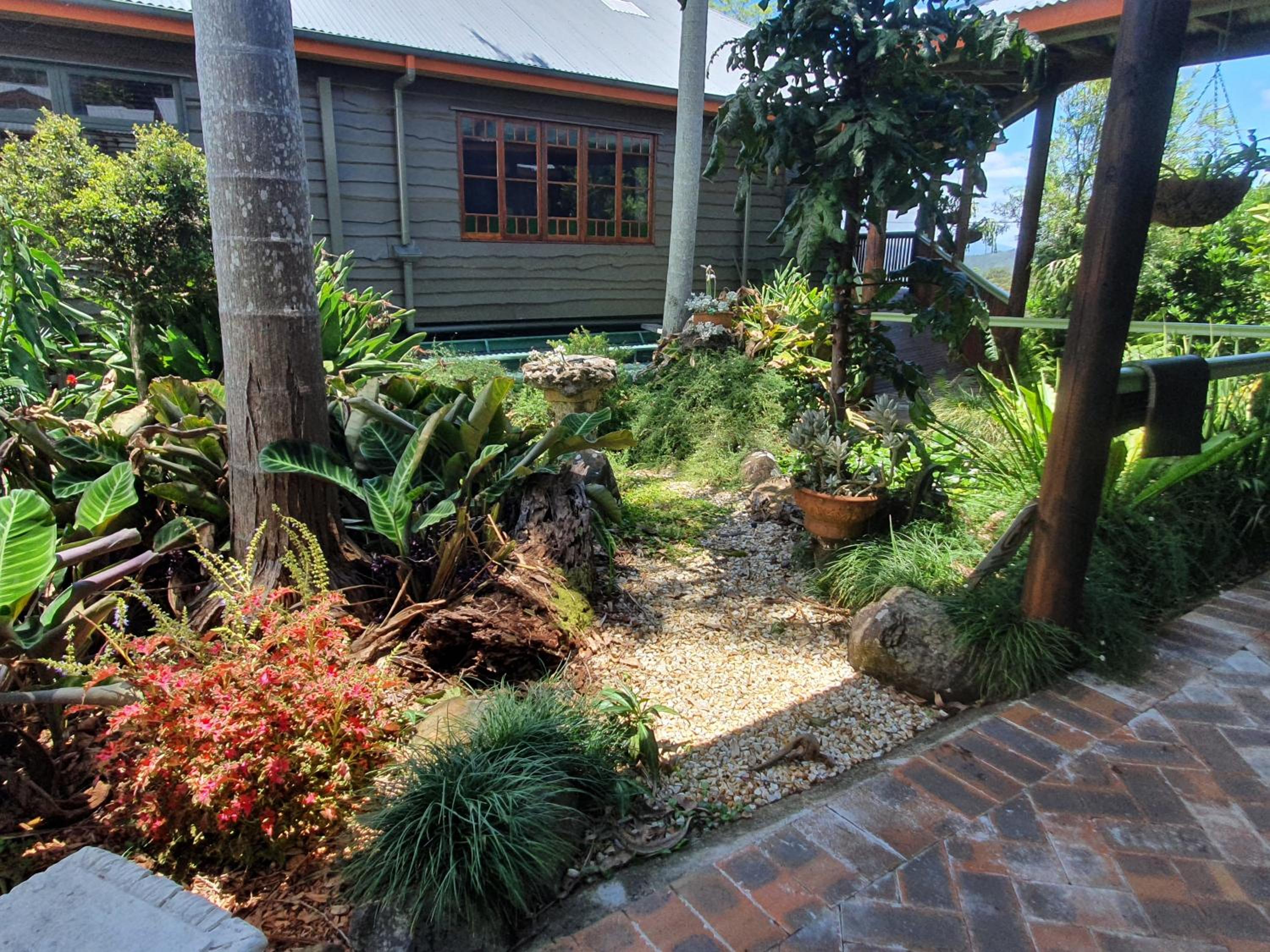 Tamborine Mountain Bed and Breakfast