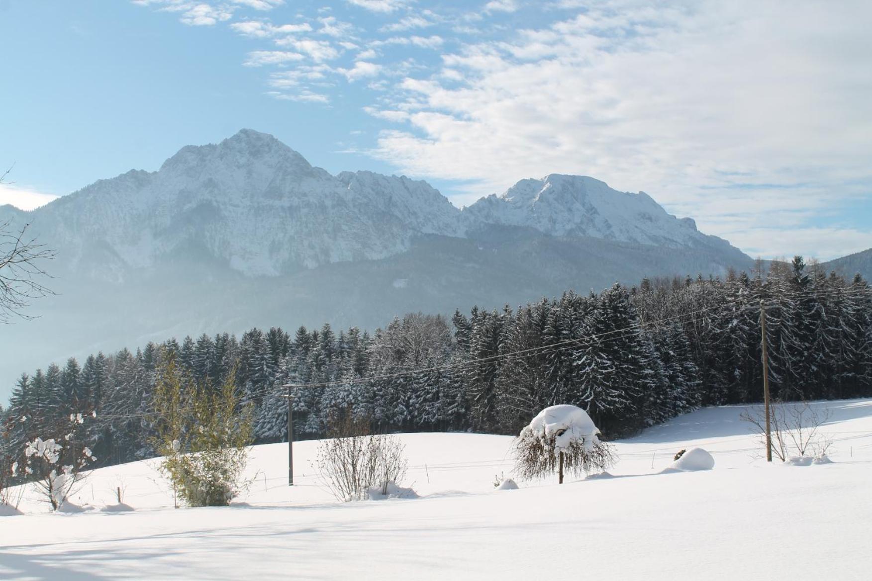 Hainbuchhof
