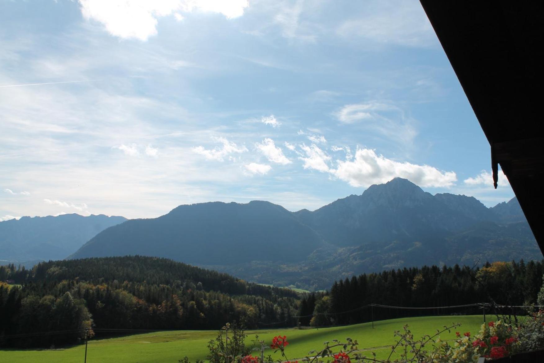 Hainbuchhof