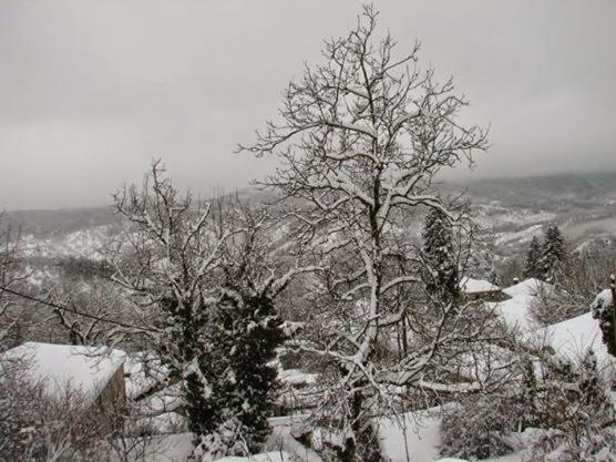 Photo 31