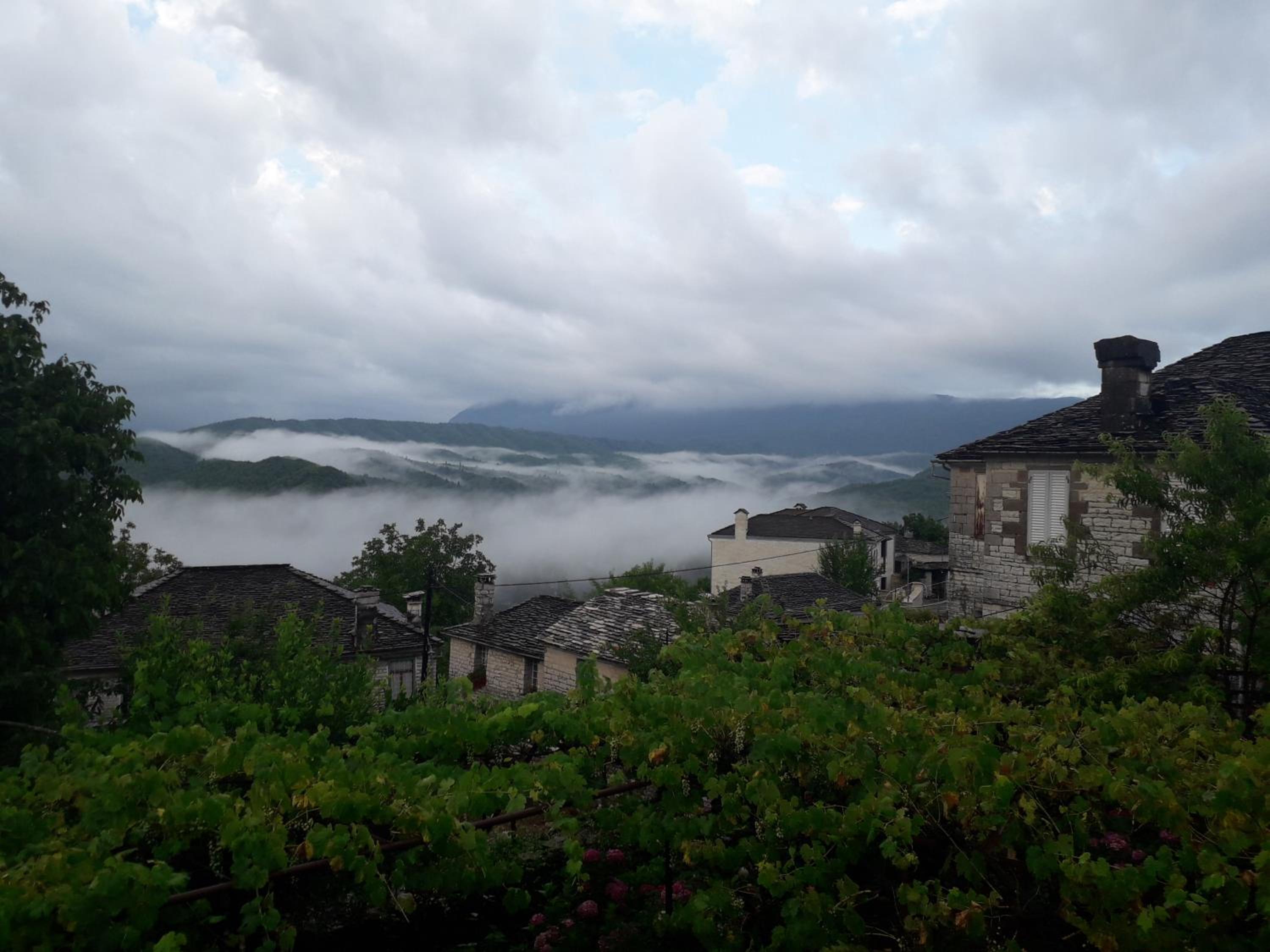 Photo 40
