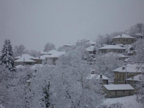 Photo 47