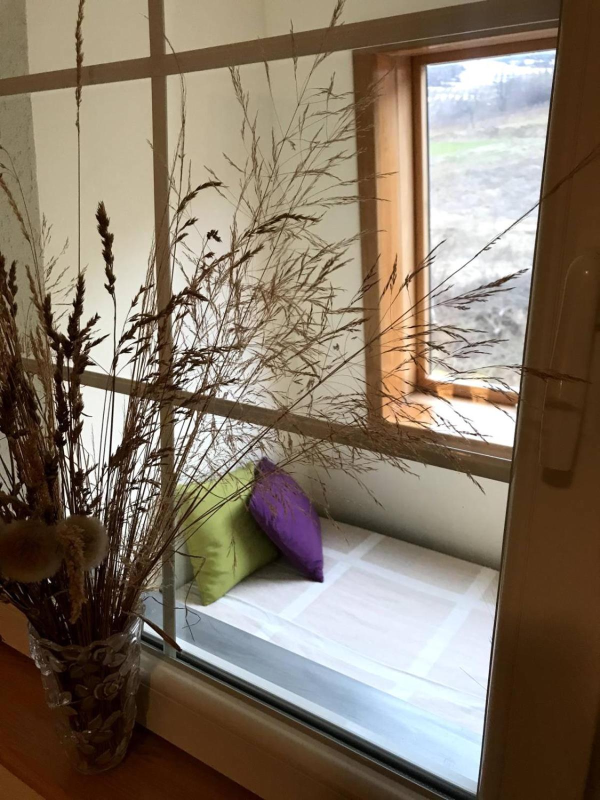 GOski Apartman Brzeće Kopaonik view 5