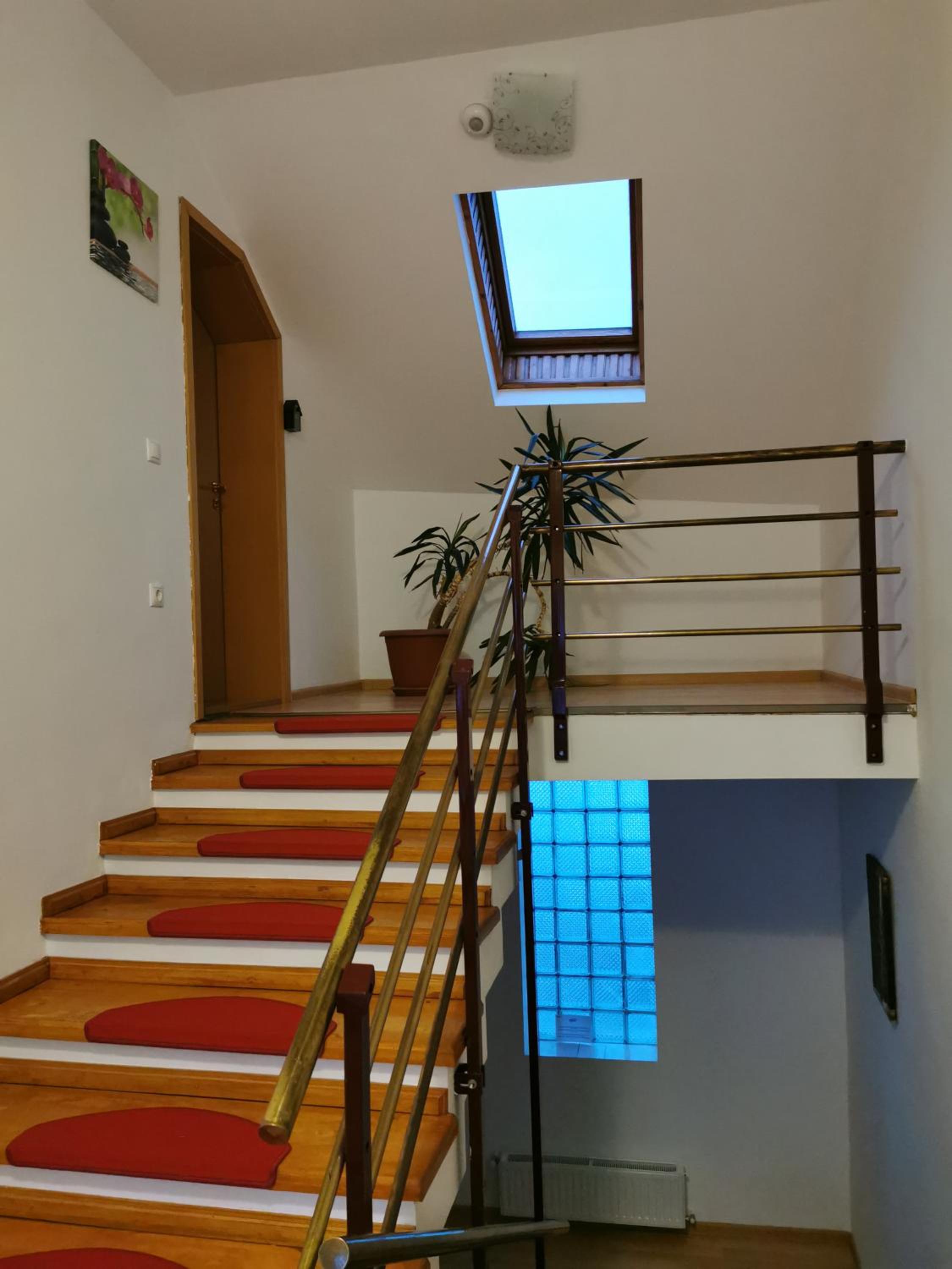 PENSIUNEA HORA view 3