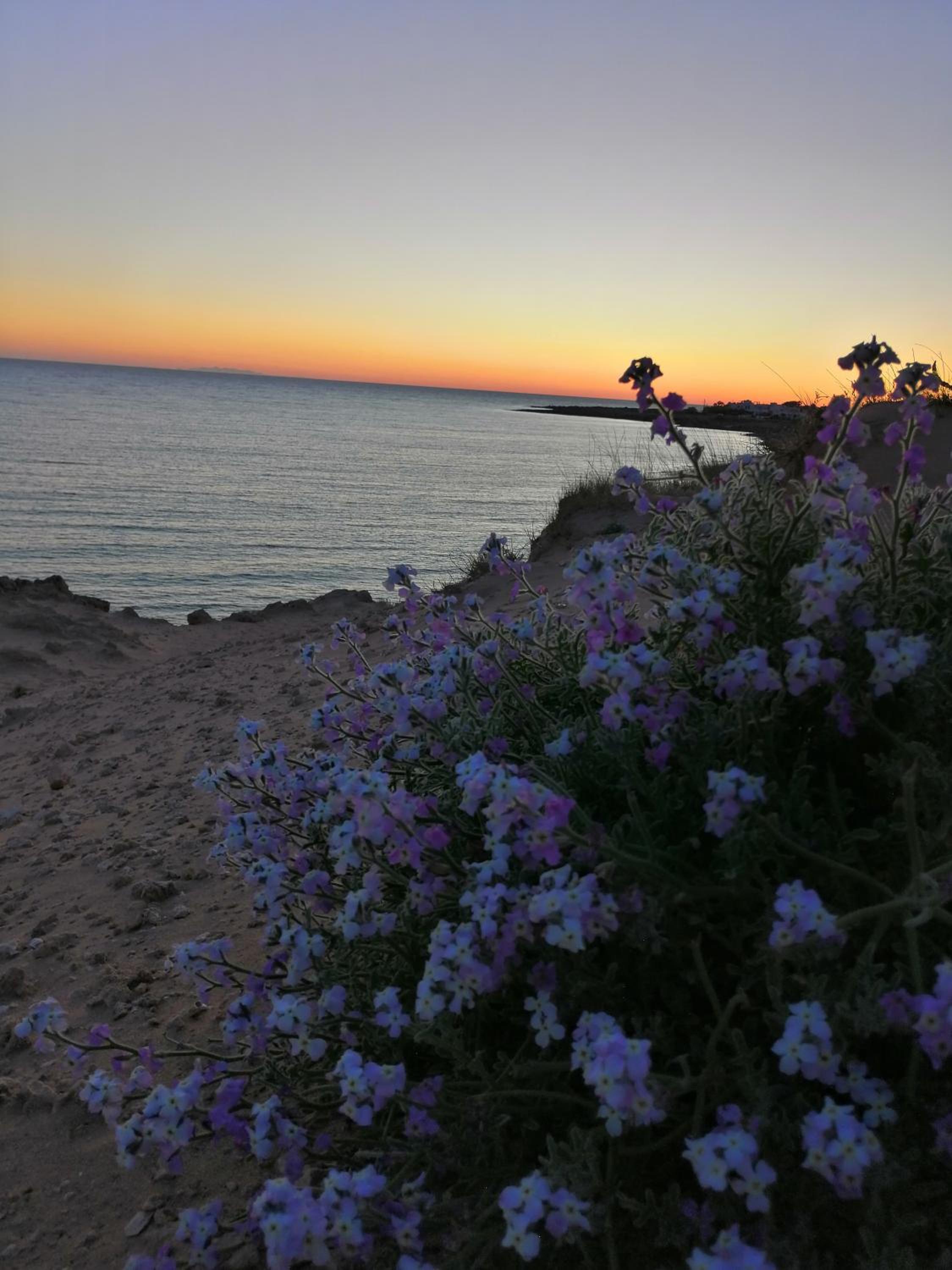 Casa Tramonto