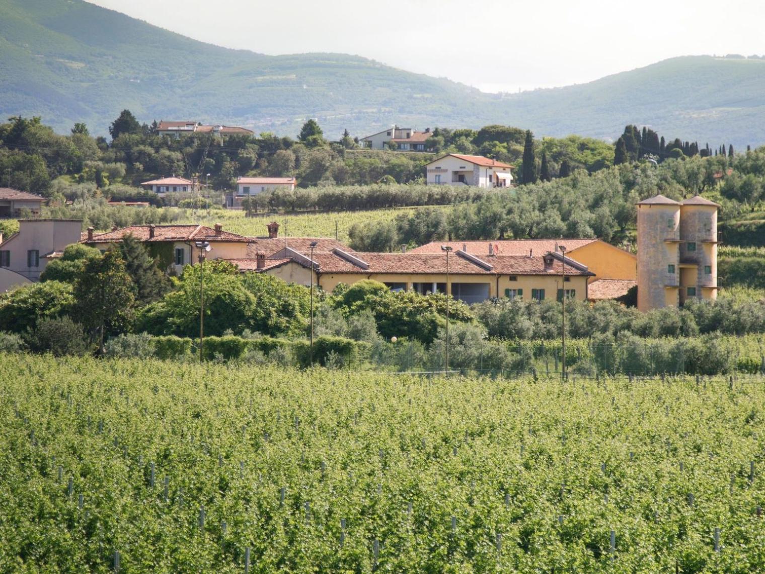 Apartment Tenuta Naiano Leonardo view 3