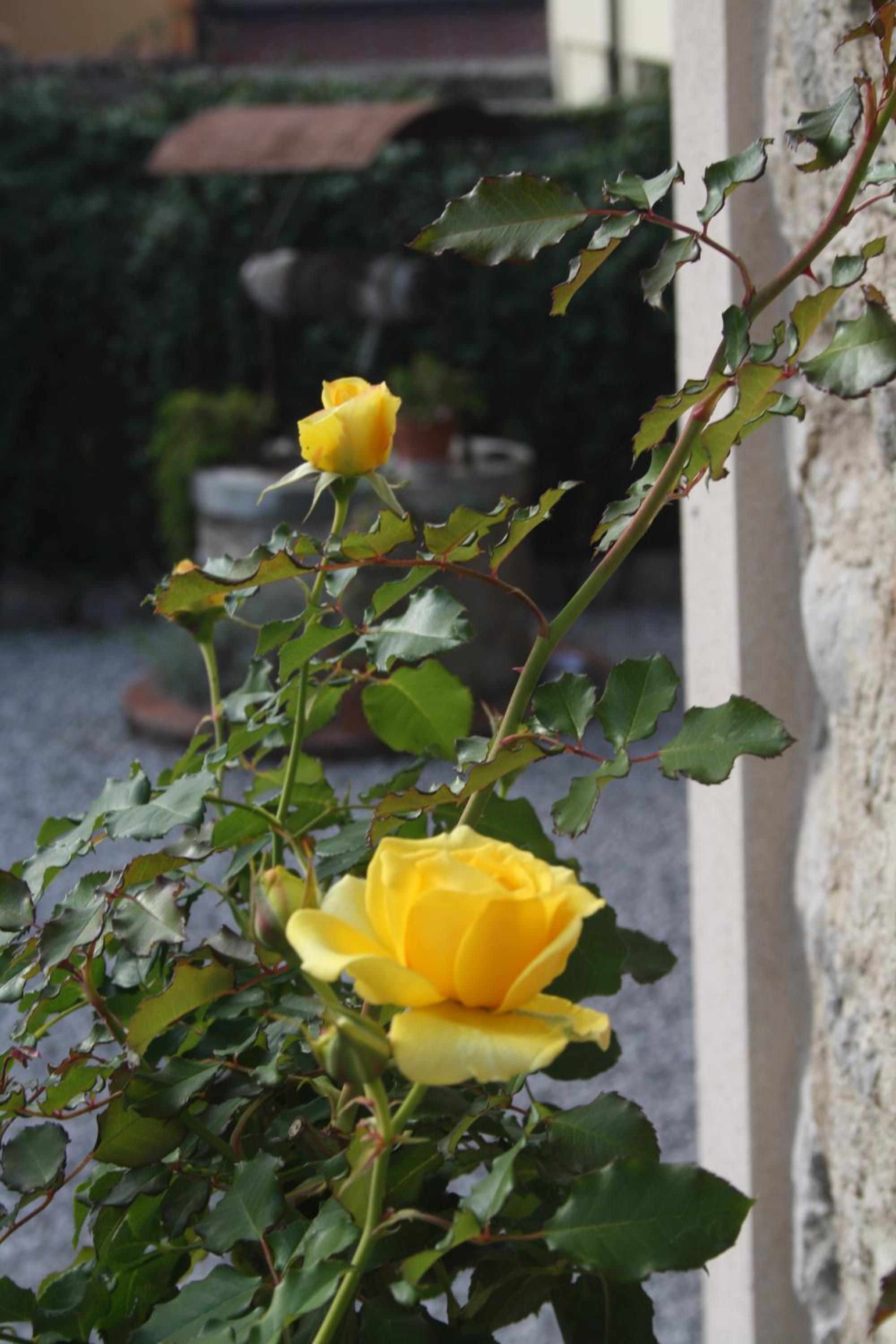 Photo 33