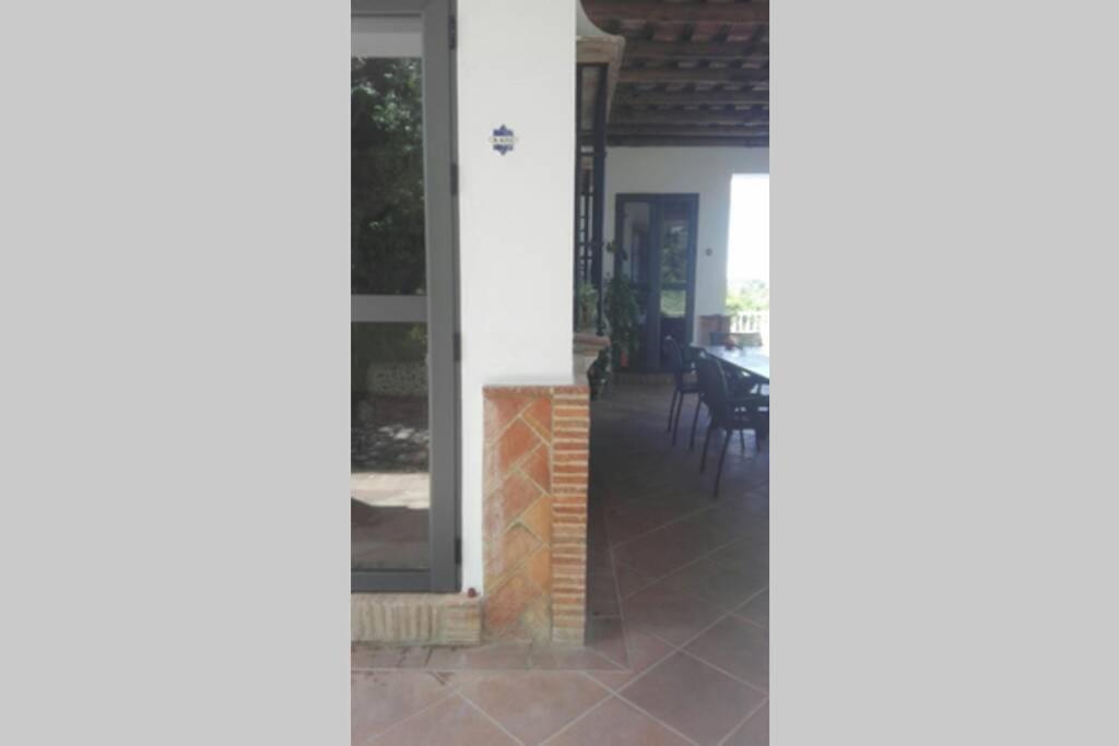 Photo 46