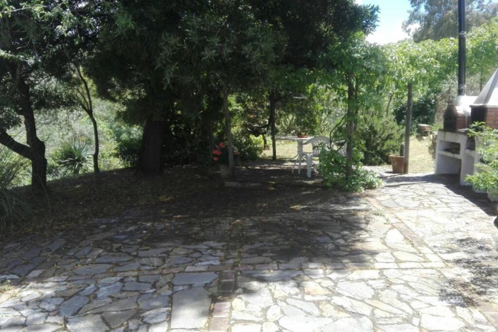 Photo 36