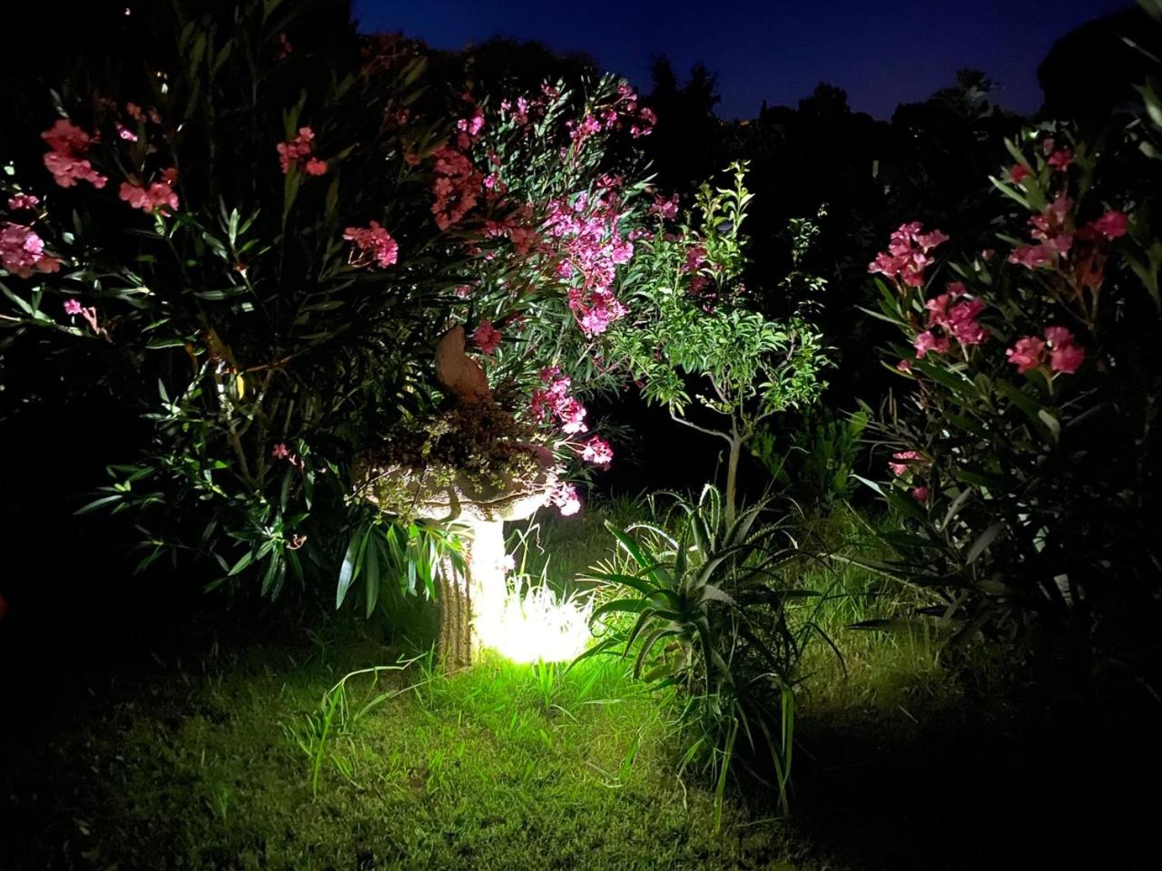 Villa LES FIGUIERS, photo 37