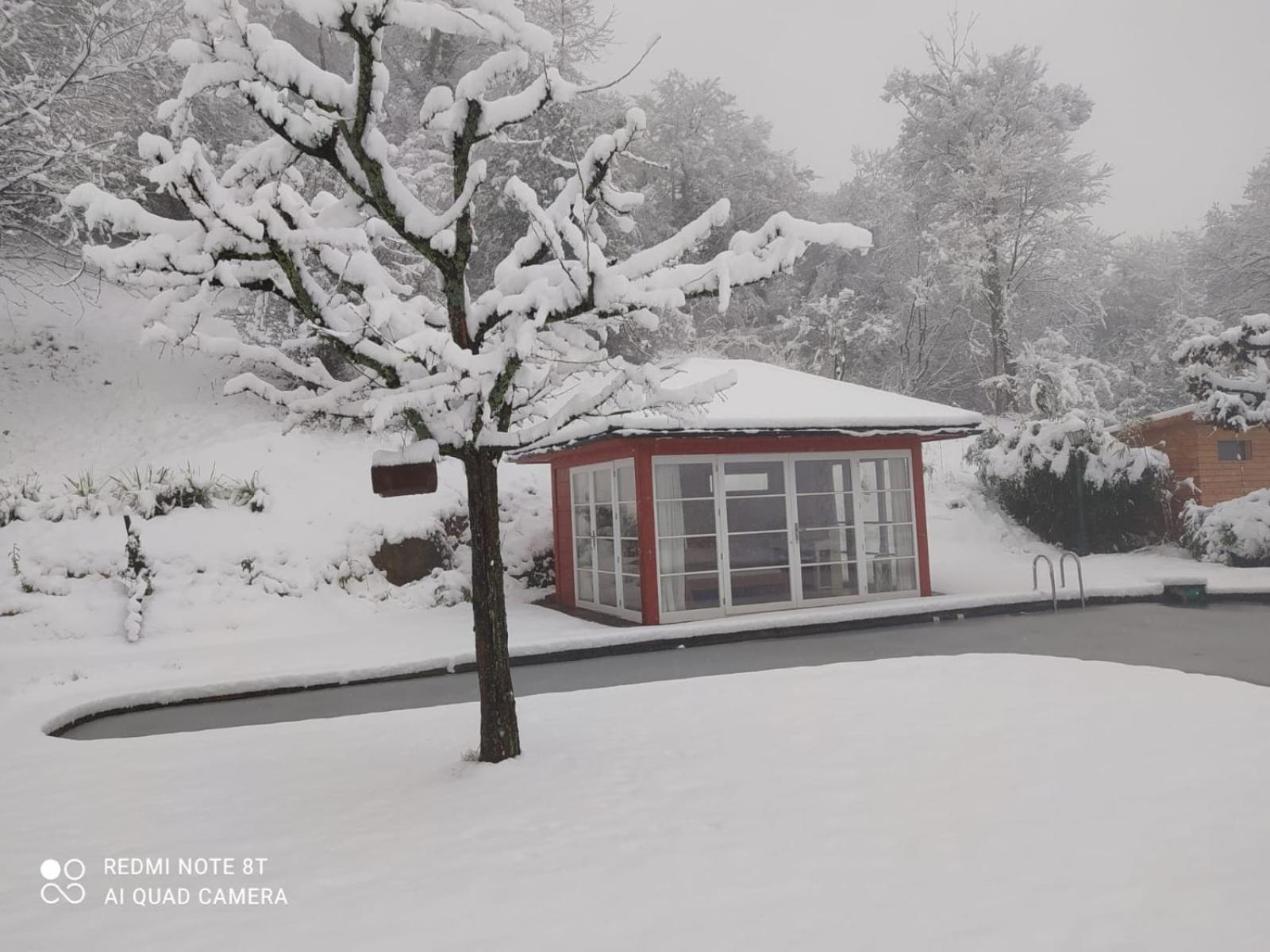 Paradies 1