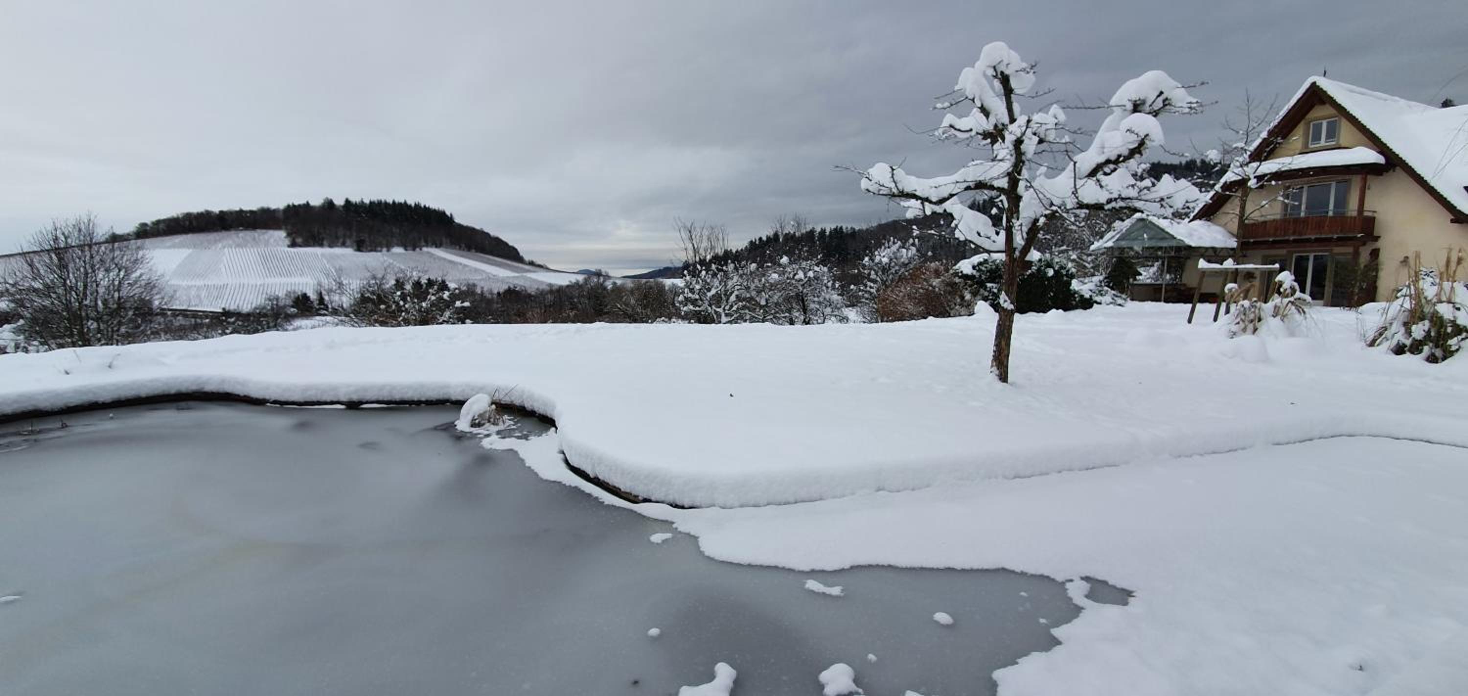 Paradies 1