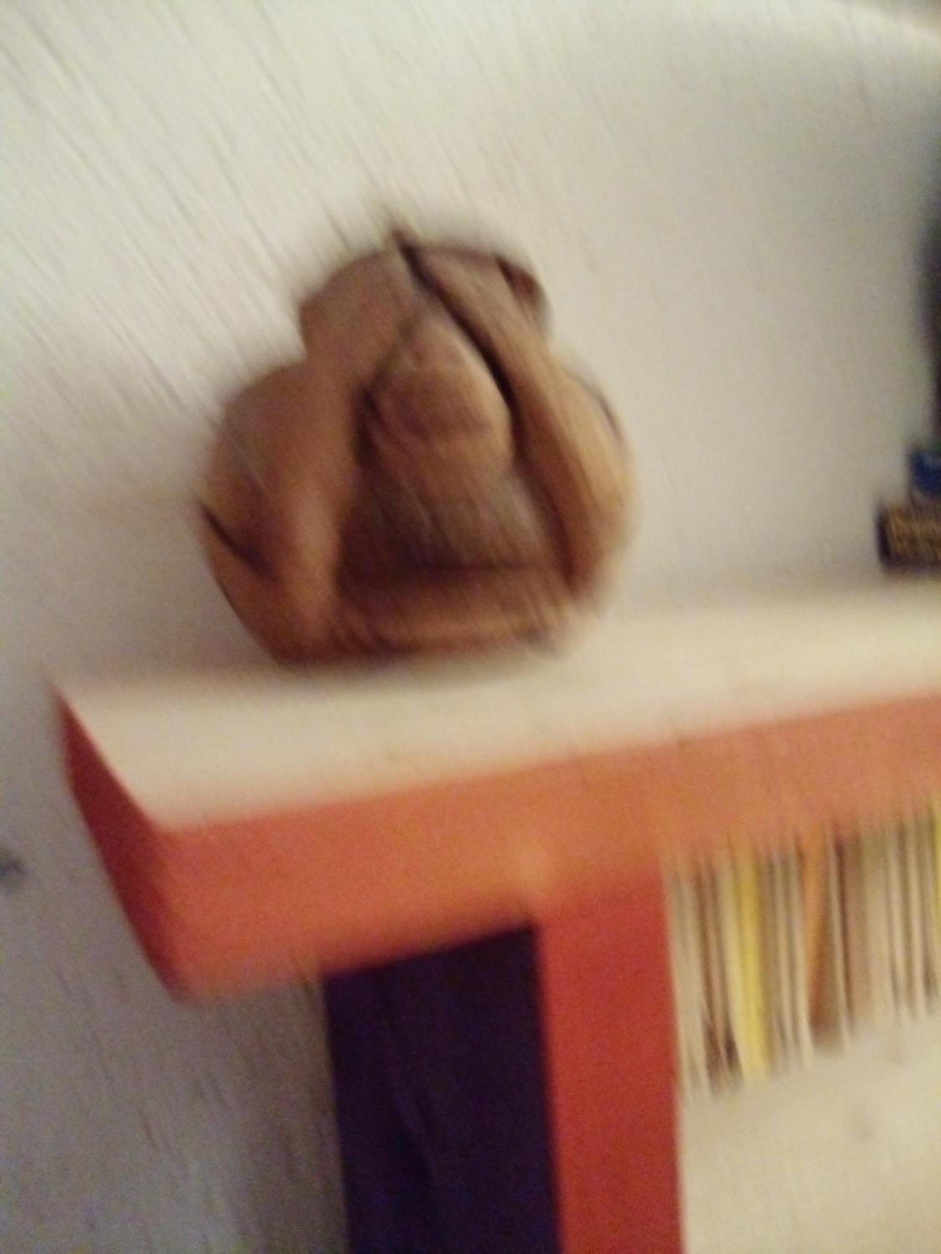 Photo 44