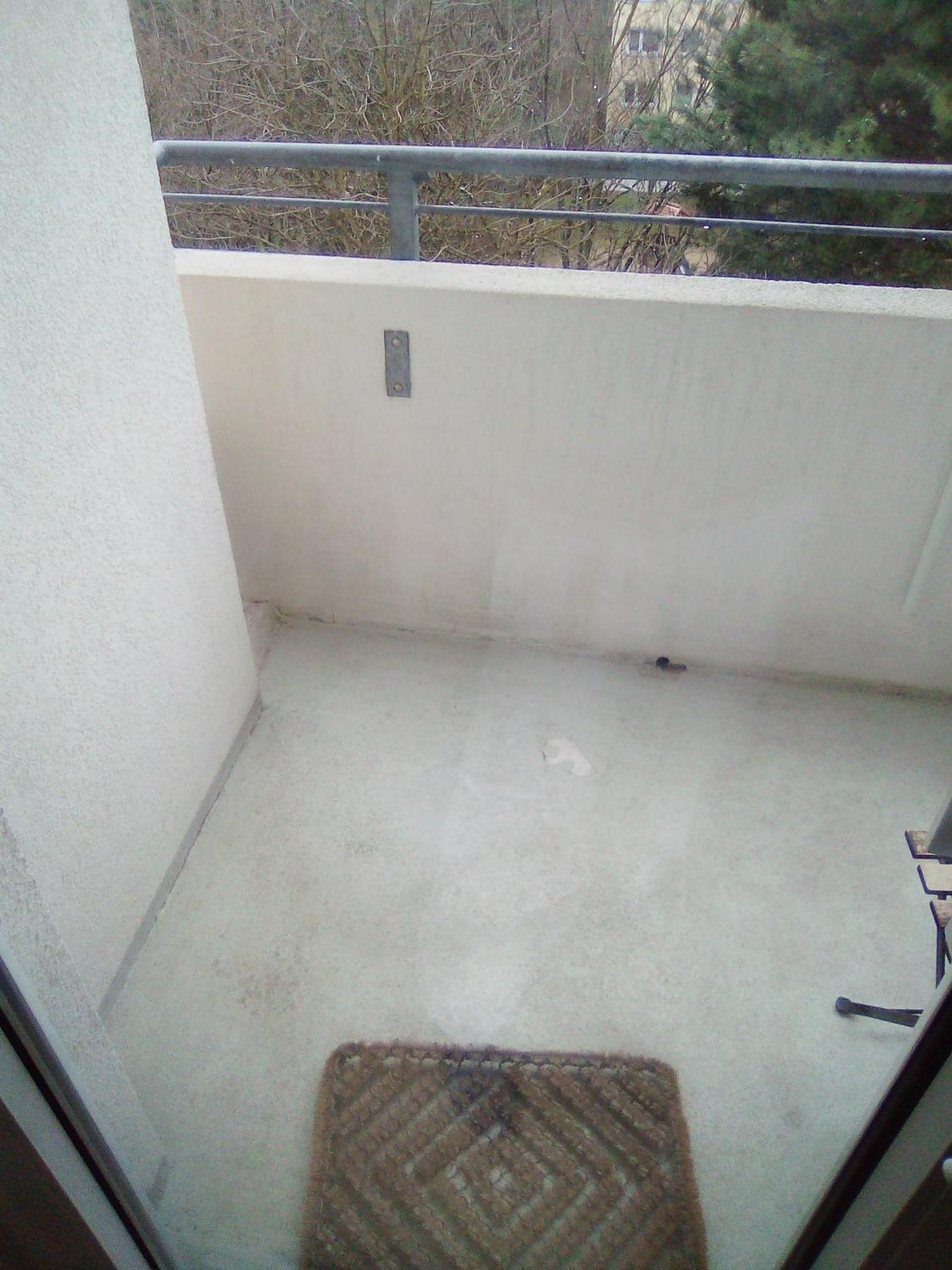 Photo 49