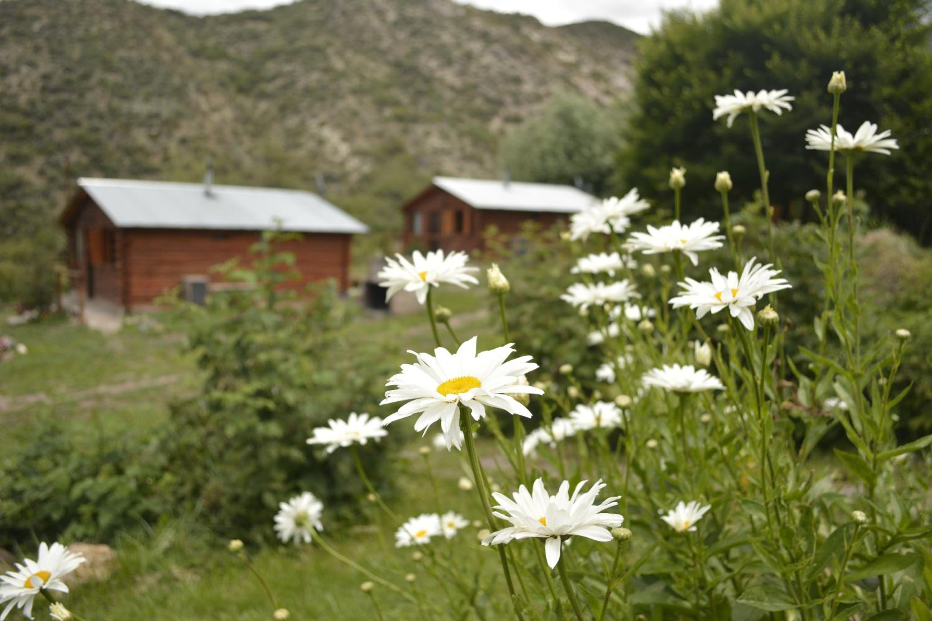 Kpriccio Cabanas