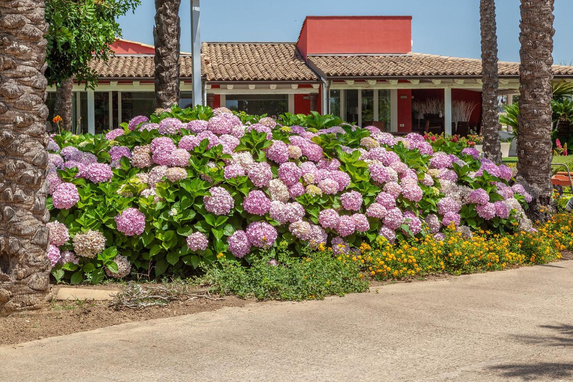Il Giardino degli Dei view 4