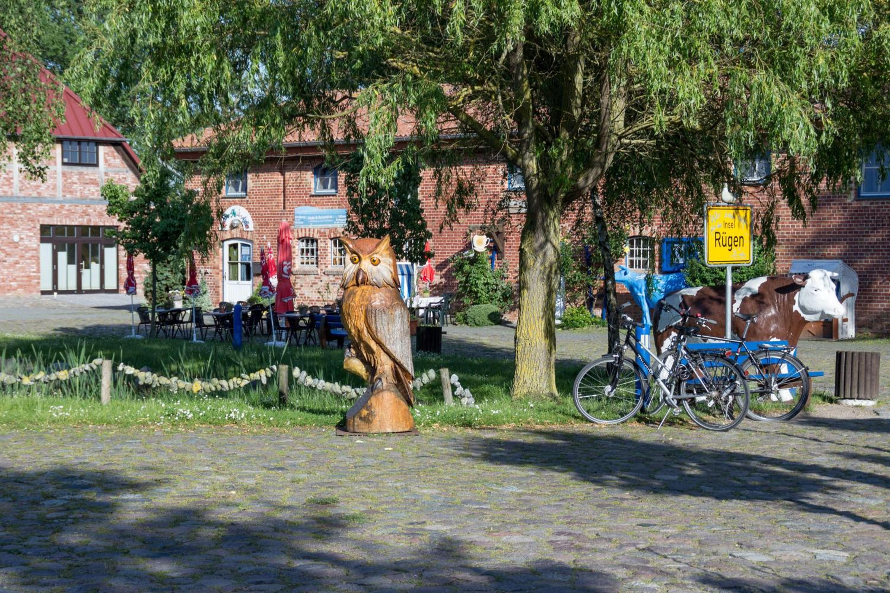Photo 44