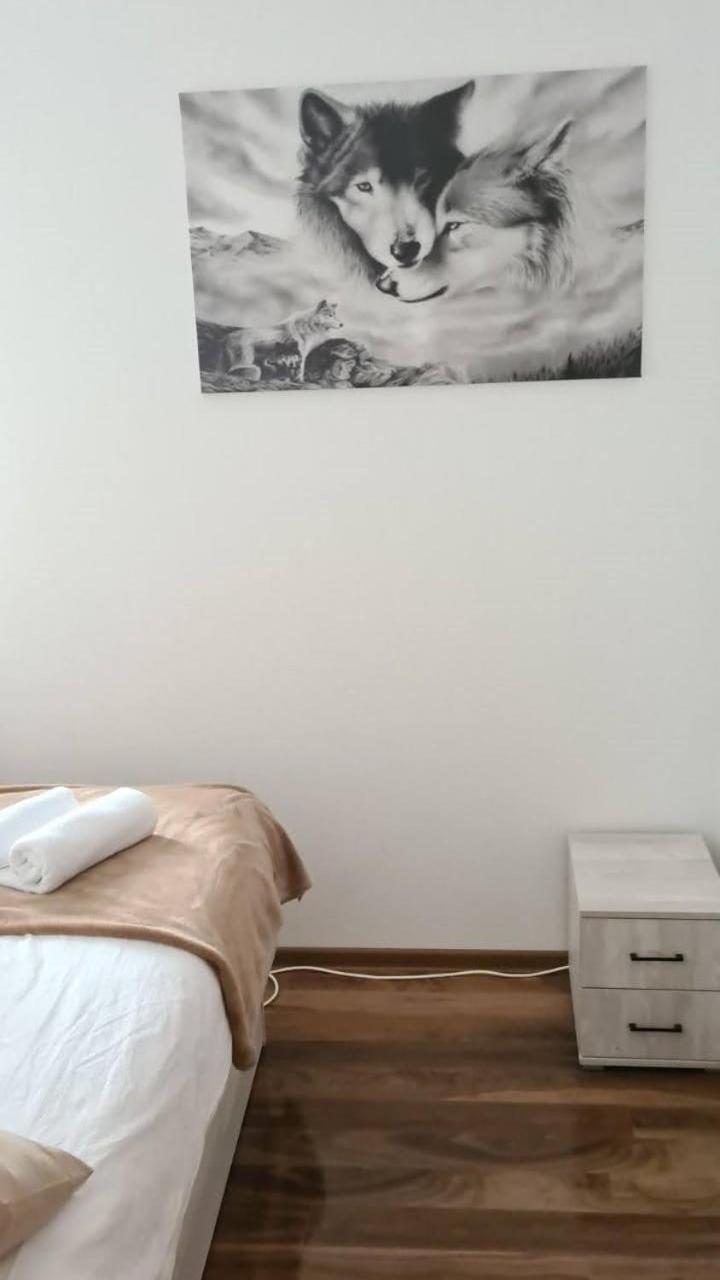 Photo 50